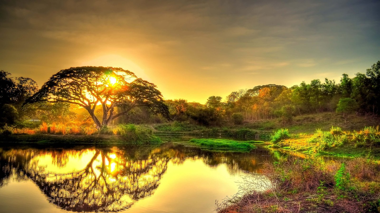 nature sun sky sunset clouds landscape sunrise horizon 2k 4k