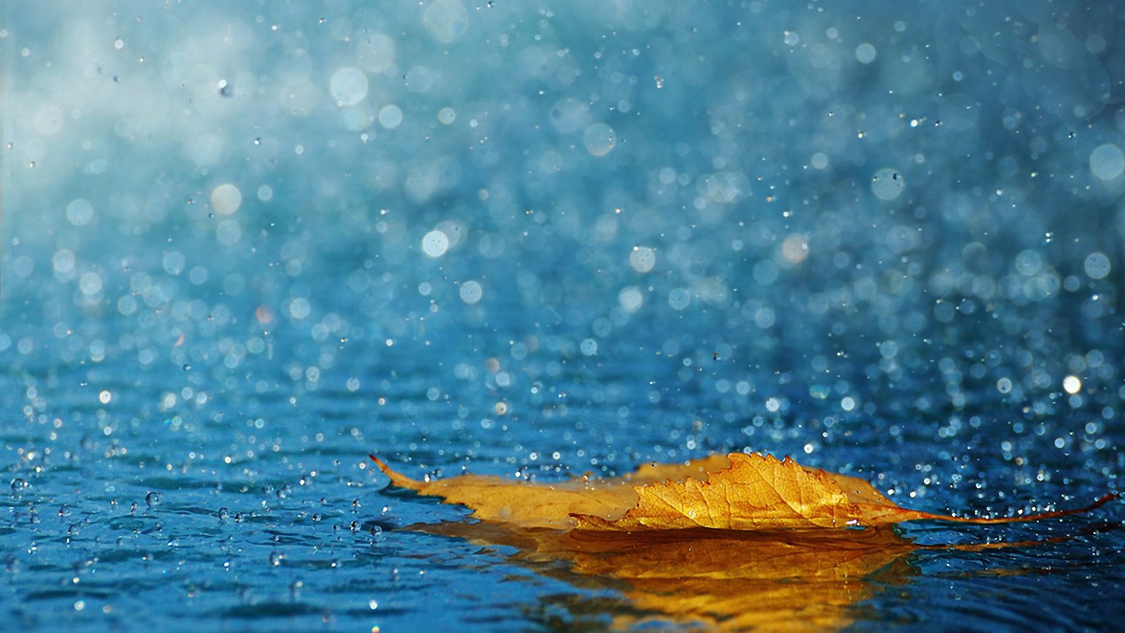 nature water ocean sky sea sun summer clear floating 2k 4k