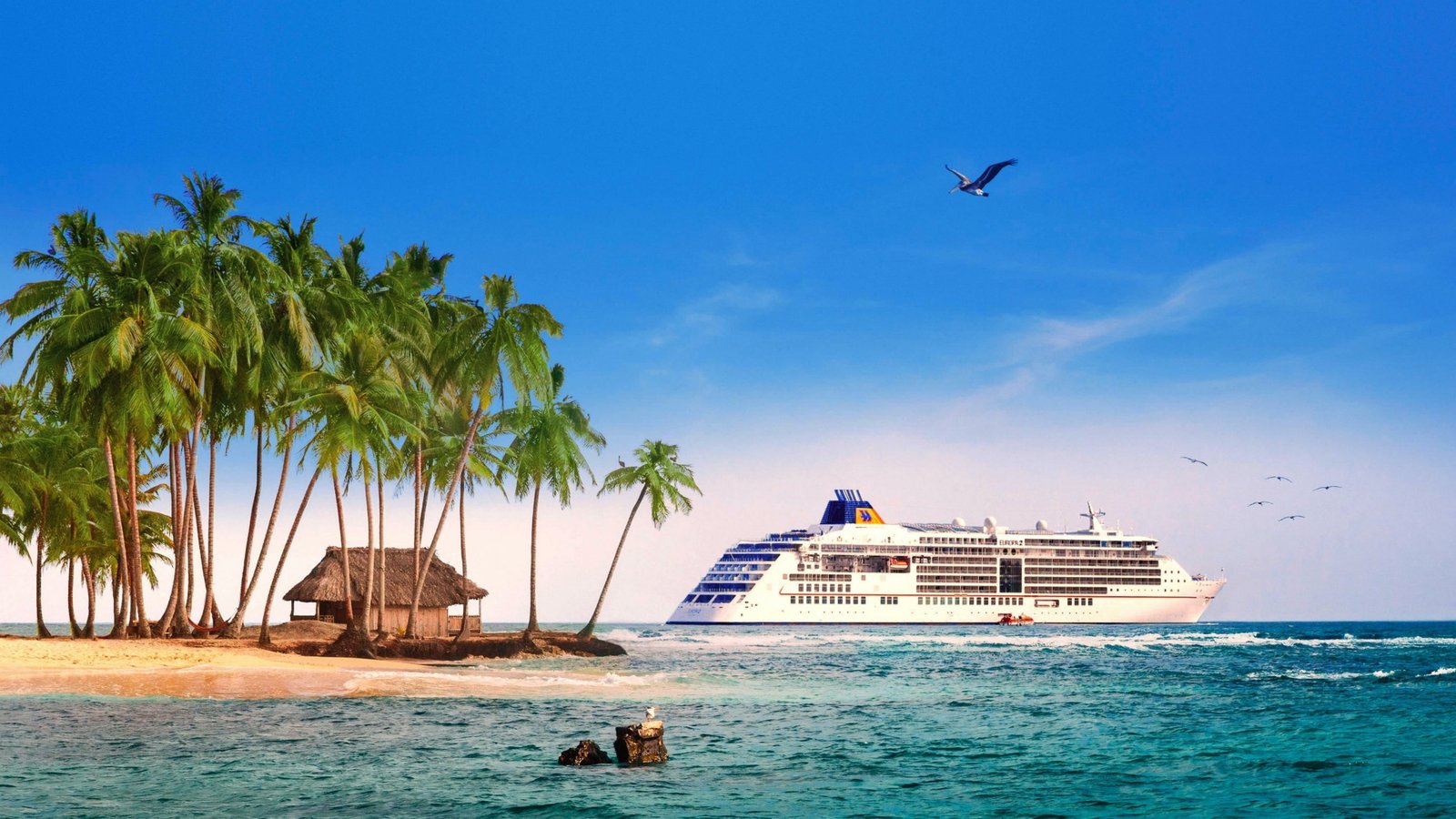 ocean cruise cruiser beach coast water arecales shore 2k 4k
