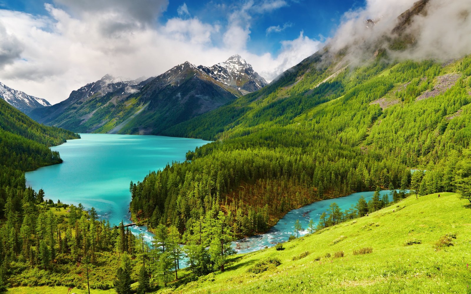 photo of green trees and body water nature landscape mountains 2k