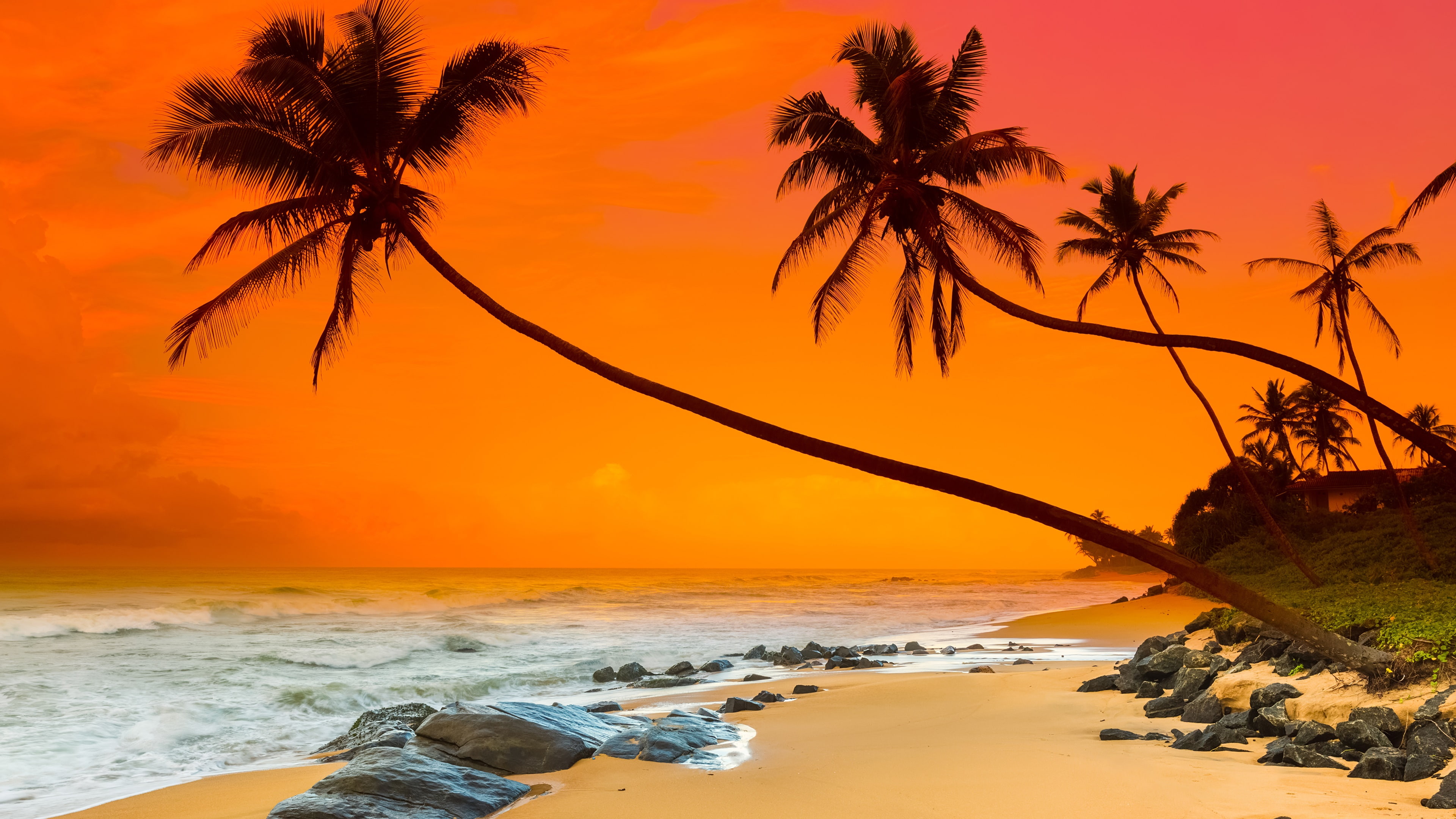 relaxing horizon ocean coast arecales sri lanka negombo 2k 4k