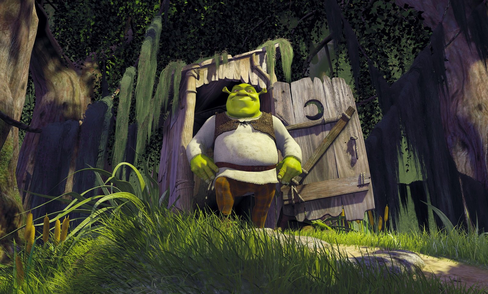 shrek plant grass tree one person nature growth rear view 2k