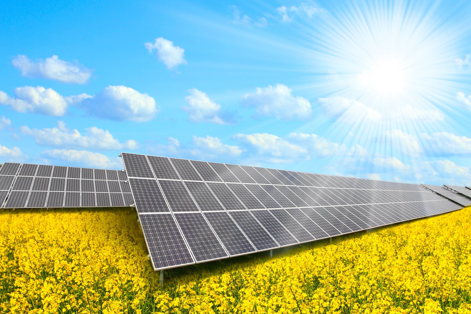 solar panels natural resources energy 2k