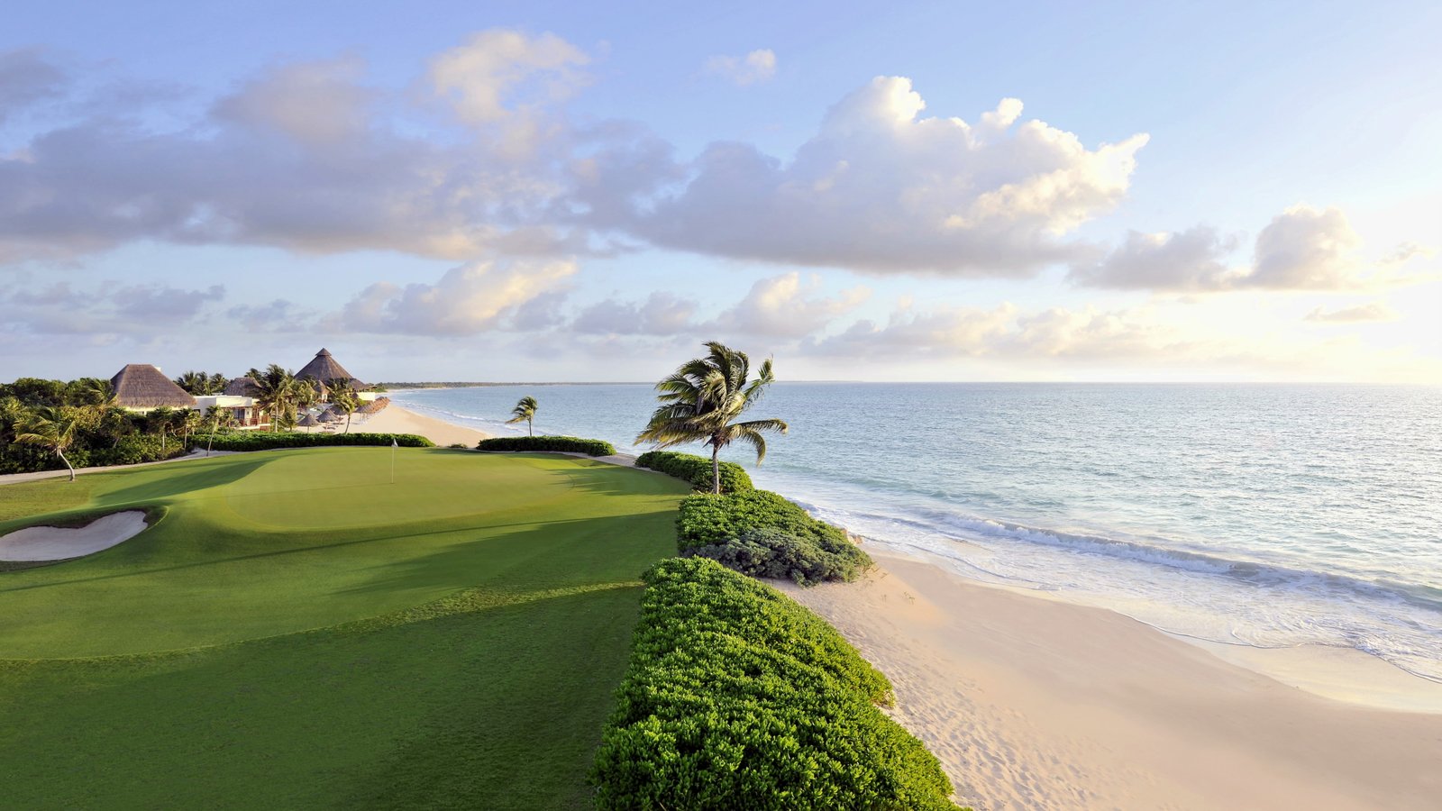 sunlight clouds sand palm trees field windy sea nature 2k 4k