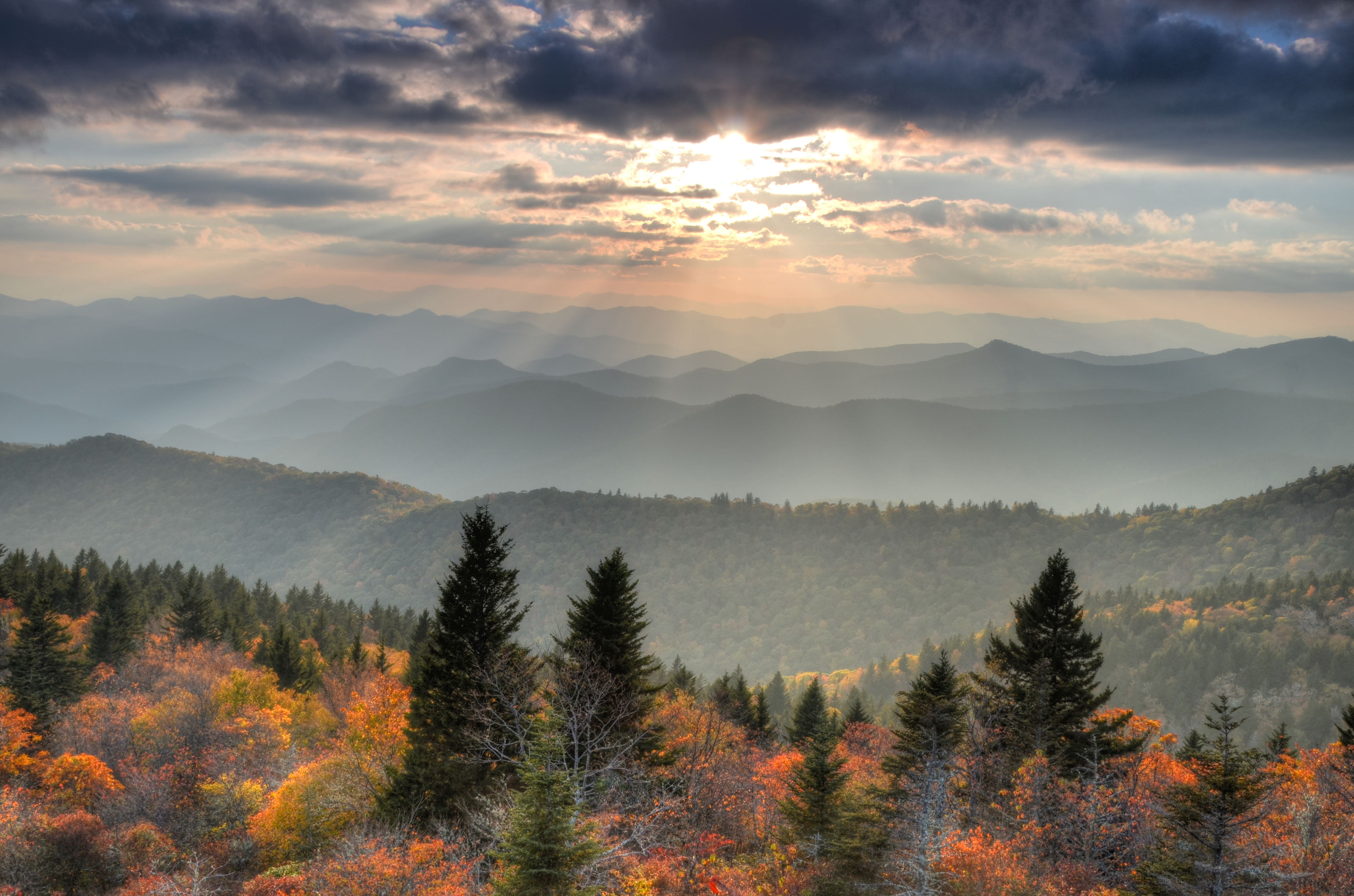 trees covered mountain blue ridge parkway 2k 4k