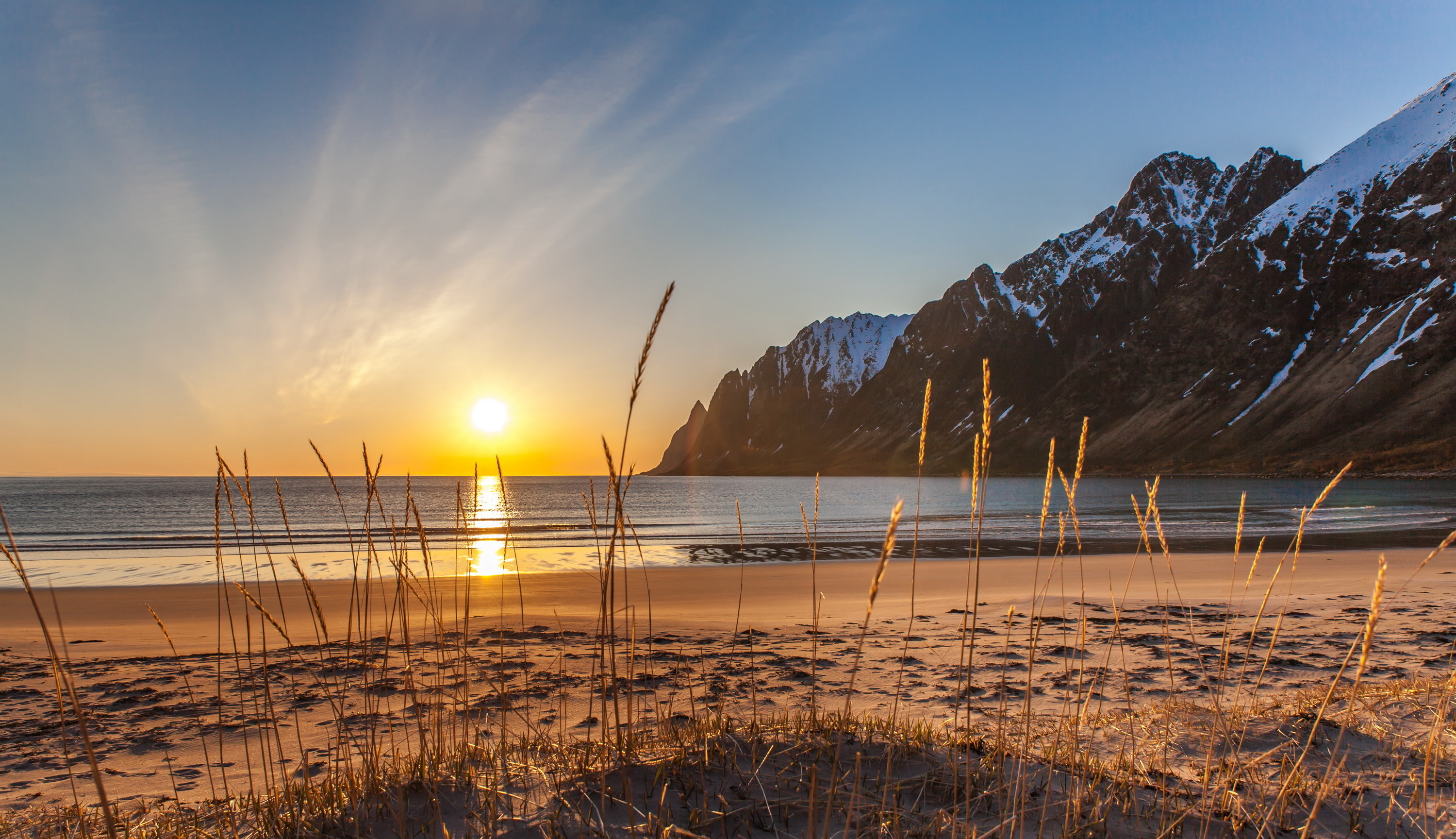 winter sand sea beach grass snow mountains Norway Senja 2k