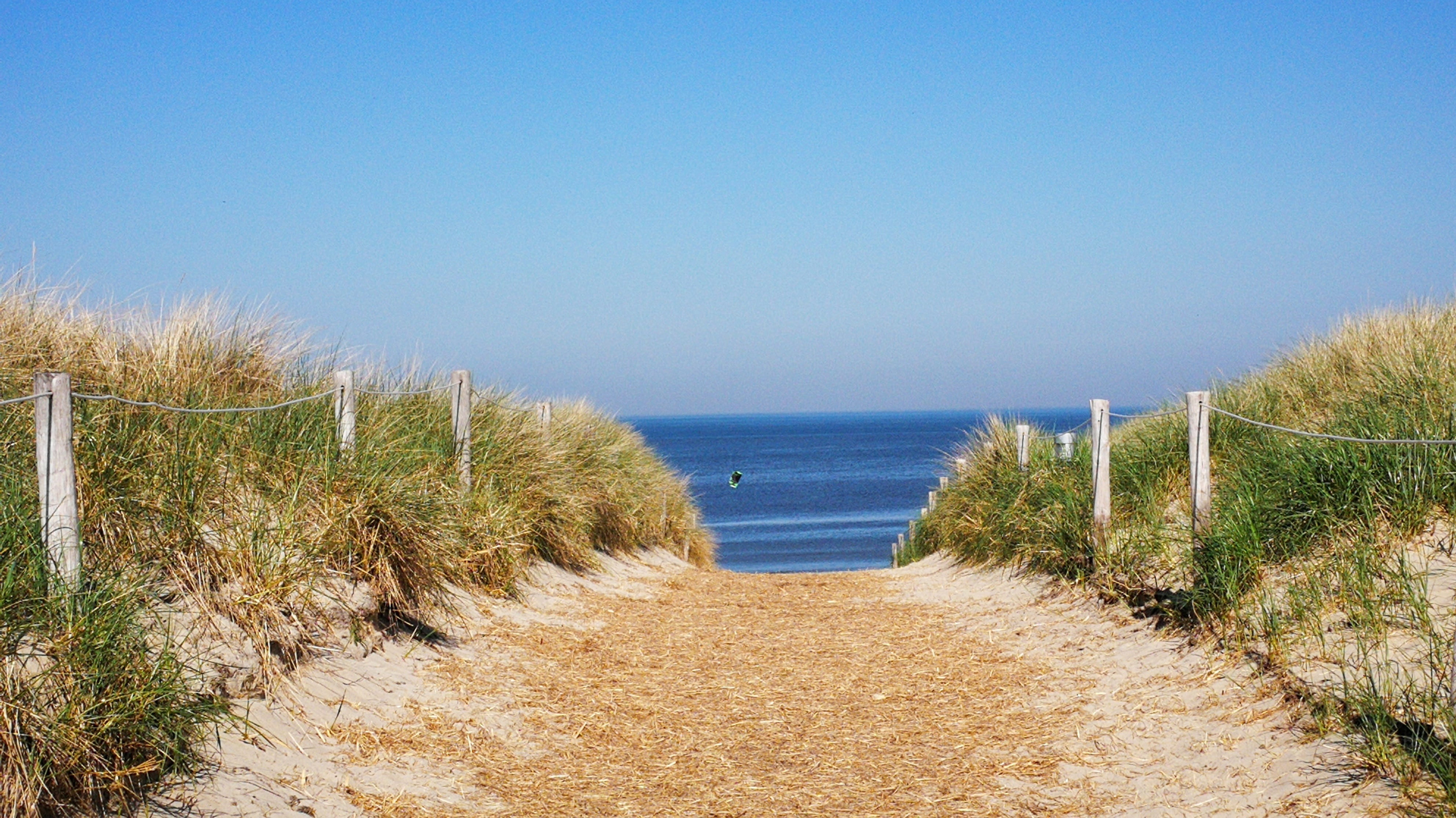 beach access texel dunes sea idyll sky water footpath 2k 4k