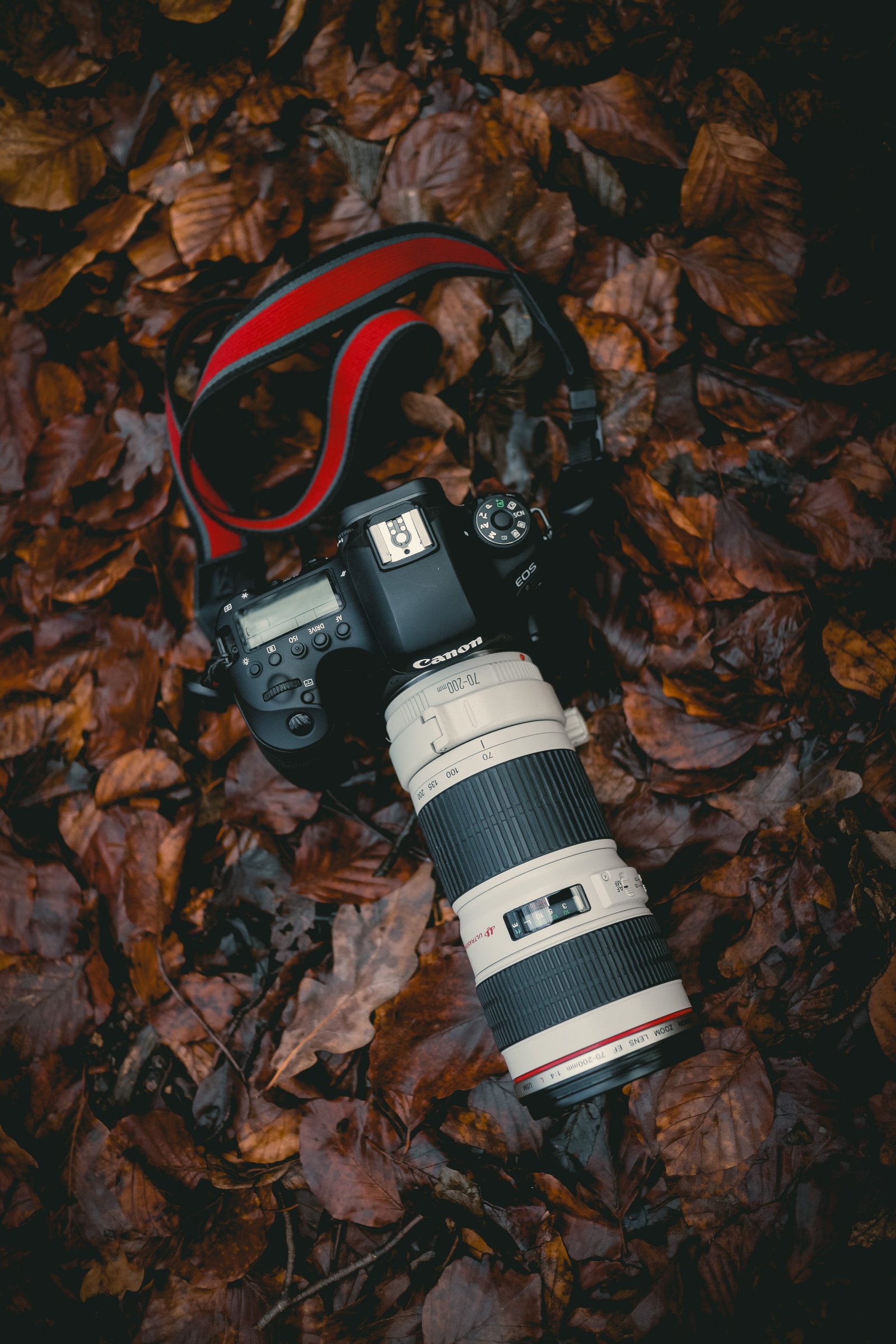 black and white DSLR camera close up photography electronics 2k