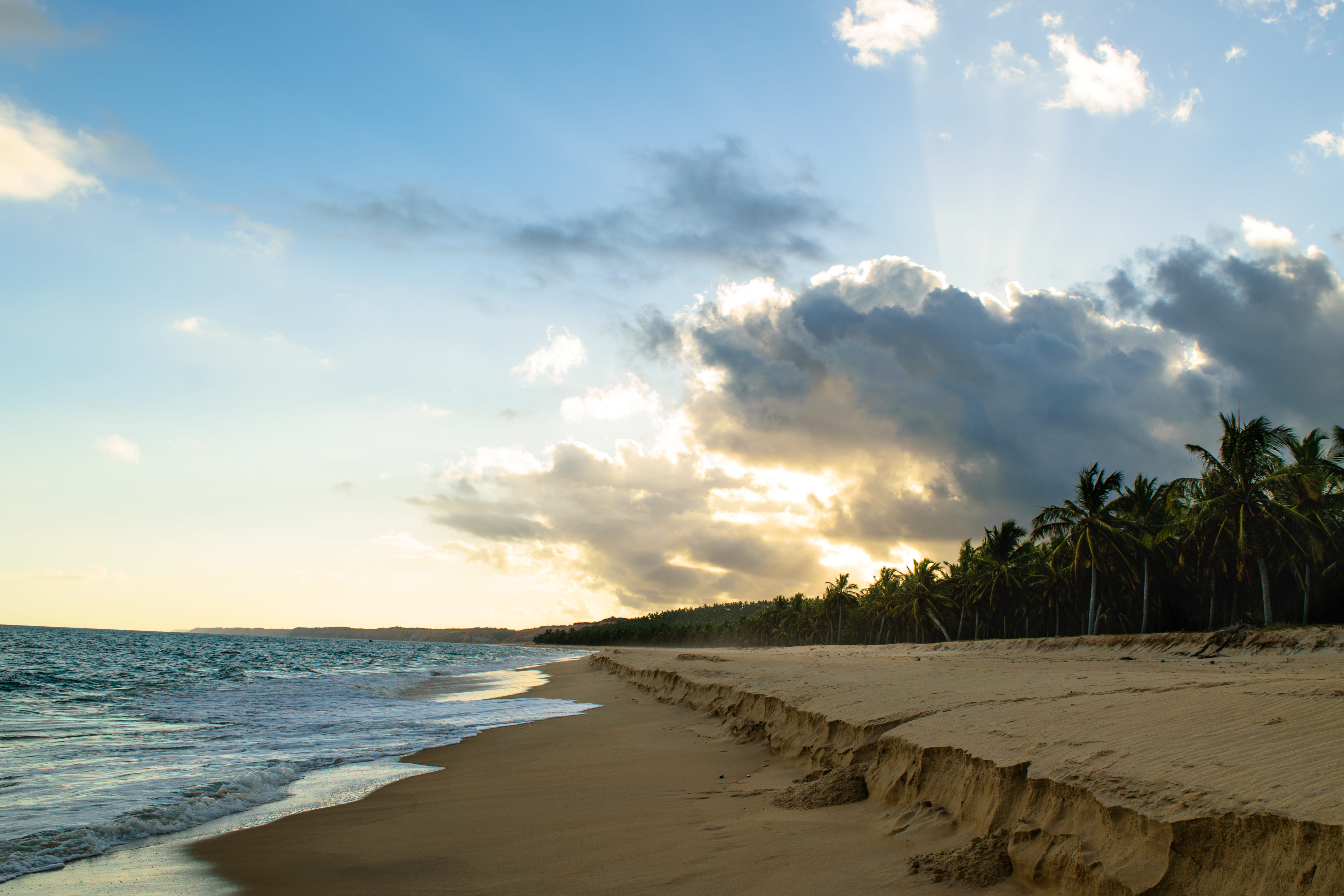 brazil praia do gunga sol y playa palmeras viajes wallpaper 2k 4k 5k