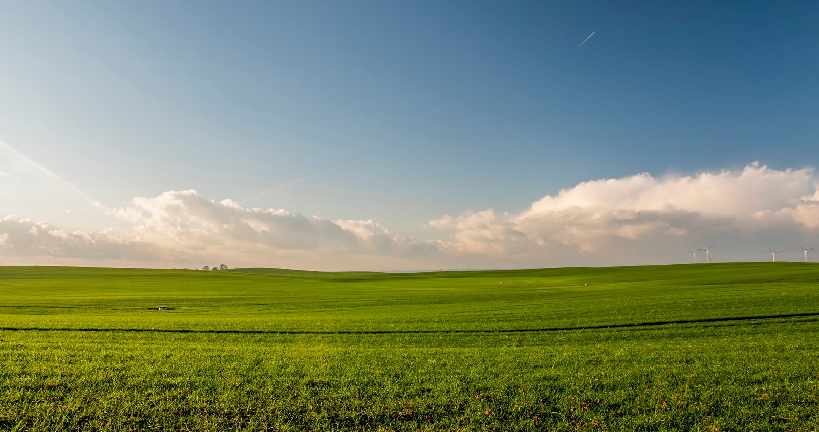 green grass field during daytie farm agriculture plants nature 2k 4k