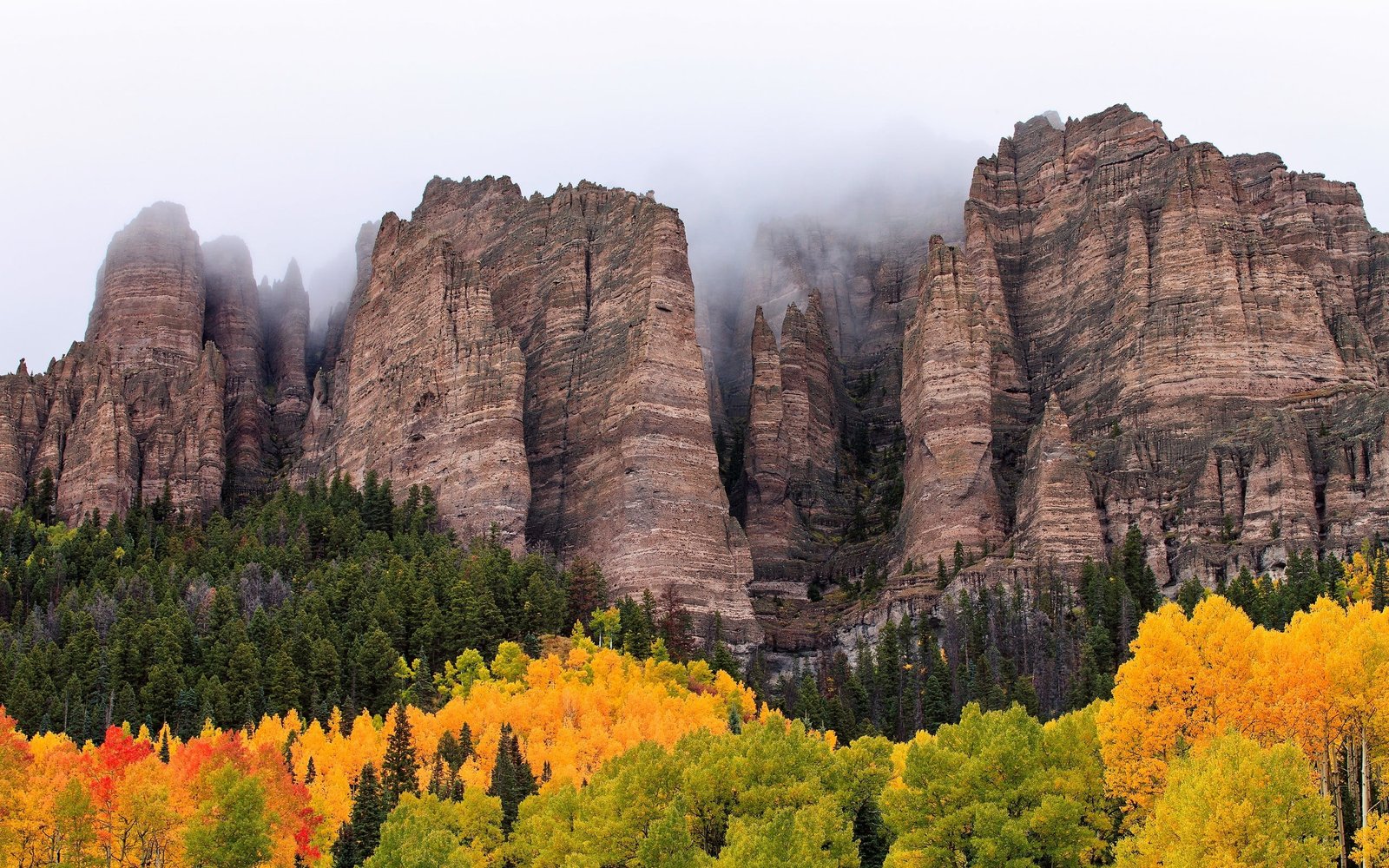 green leafed tree mountains forest rock cliff mist nature 2k