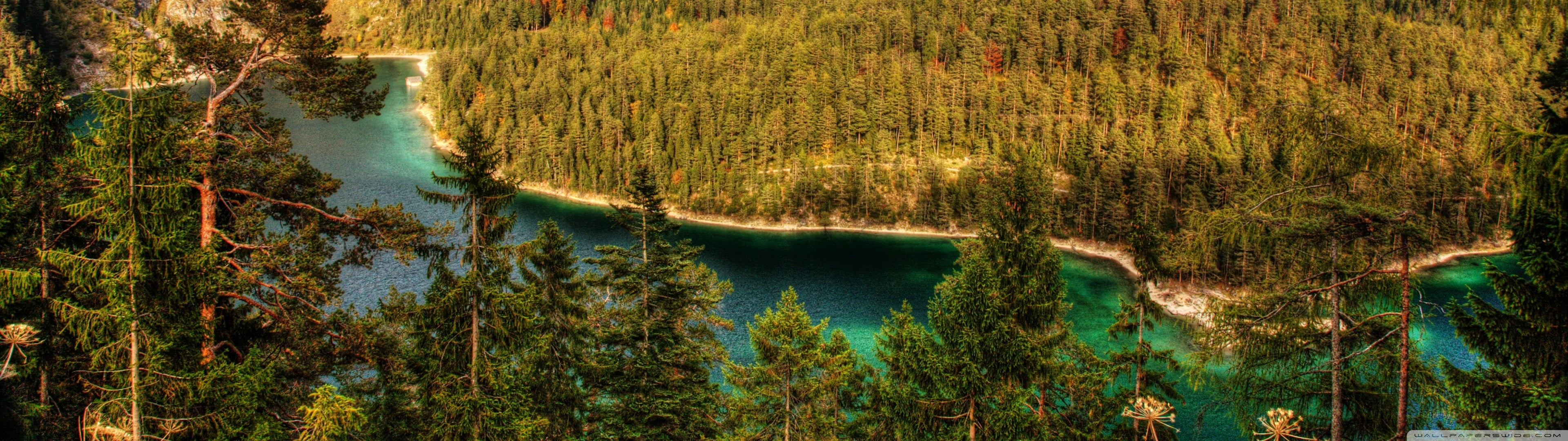 green leafed trees landscape river nature forest beauty in 2k 4k