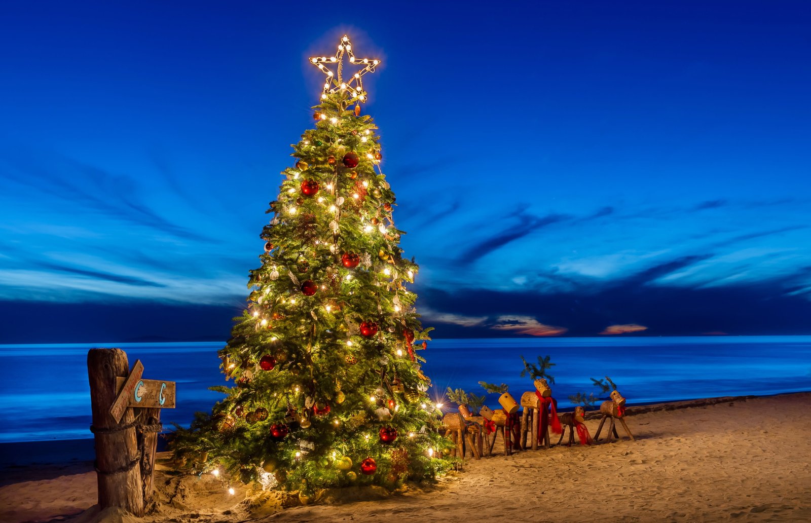 Holiday Christmas Beach Tree Horizon Ocean Sky 2k 4k