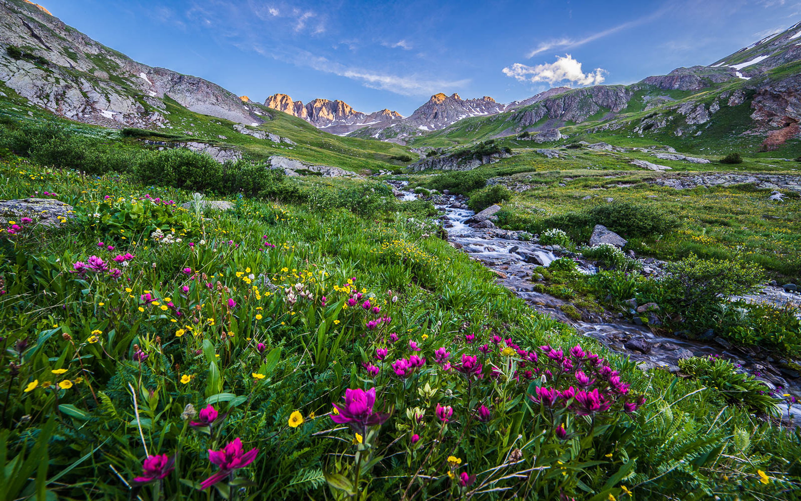 Landscape Beautiful Scenery Rocky Peaks Stream Meadow With Colorful Mountain Flowers Blue Sky Spring In Colorado Hd Wallpaper For Mobile Phones Tablet And Pc 2k