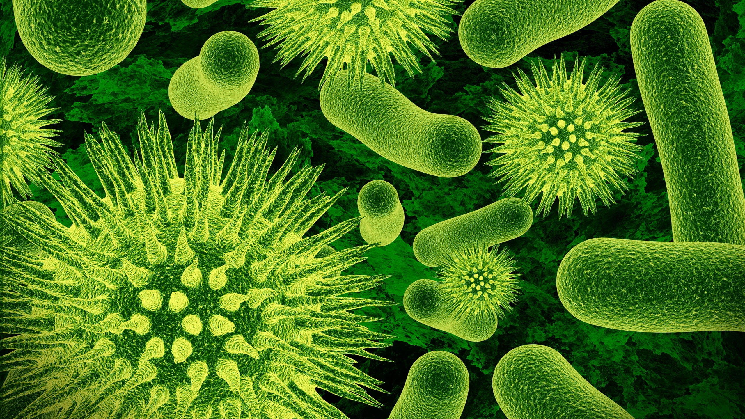 microscopic photo of bacteria nature closeup viruses science 2k