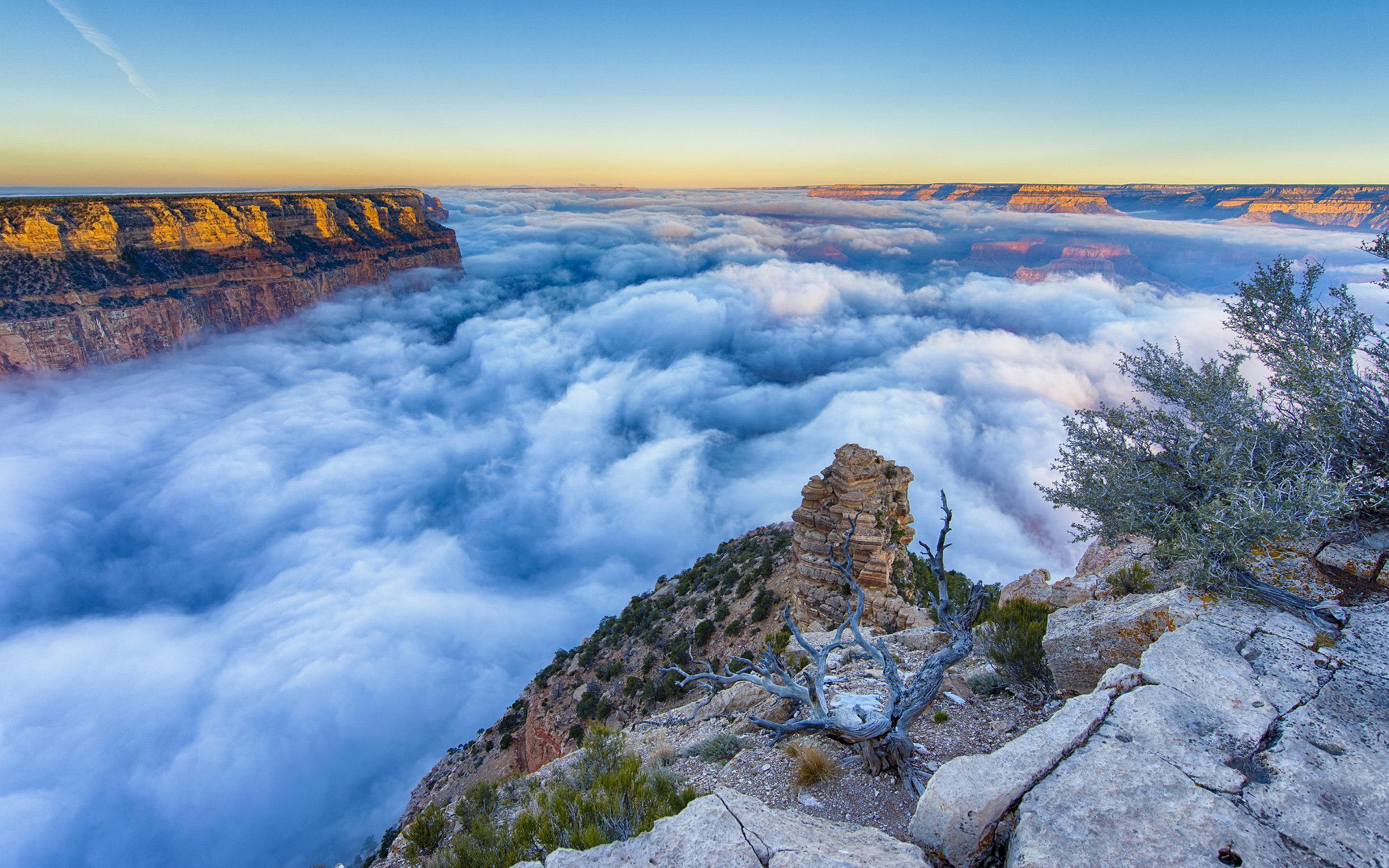 Morning Foggy In National Park Grand Canyon Arizona Landscape Nature Hd Wallpaper For Mobile Phones And Computer 2k 4k