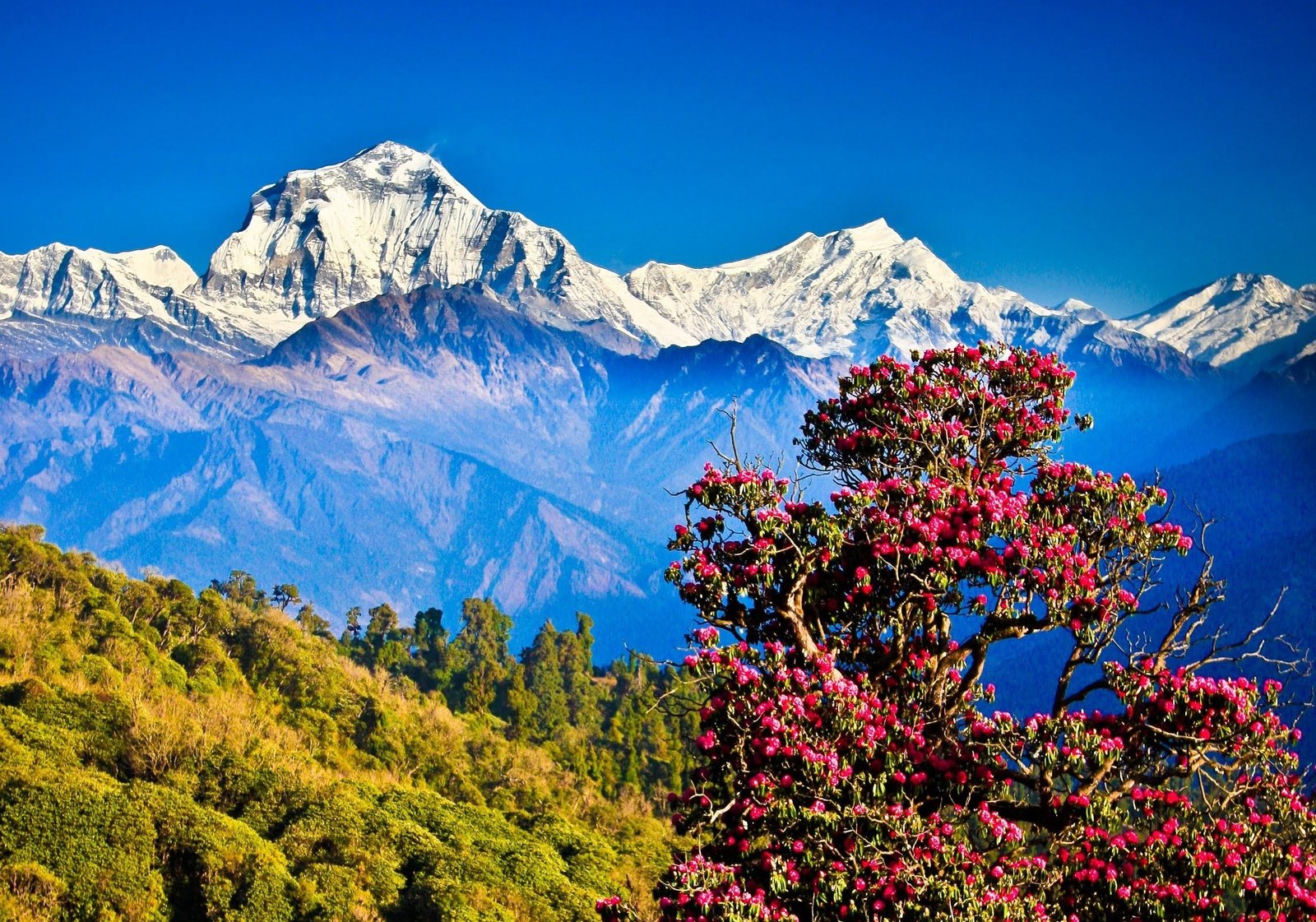 Nepal Himalayas mountains nature landscape clear sky hills 2k