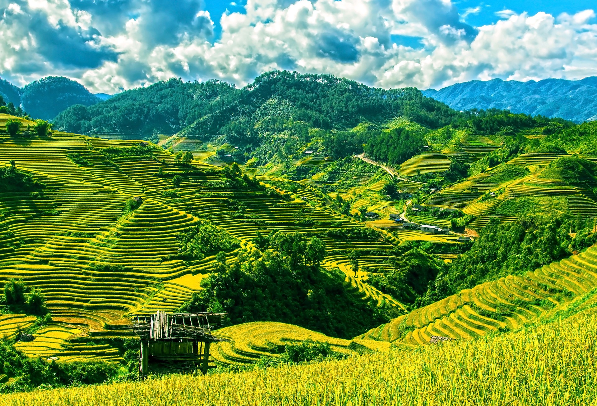 photo of green terraces during daytime rice fields 2k