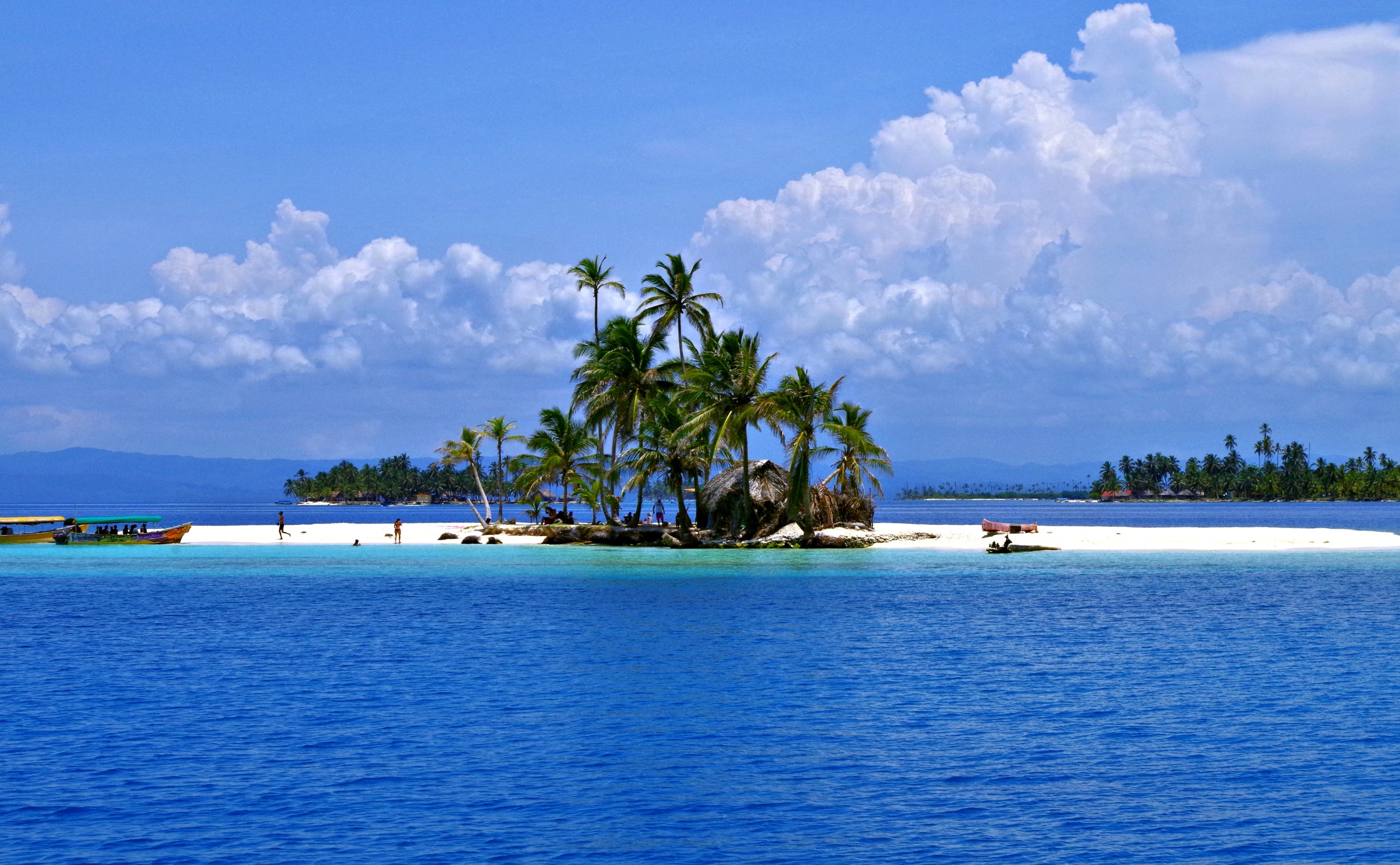 San Blas Islands green coconut palm tree lot Travel trees 2k 4k