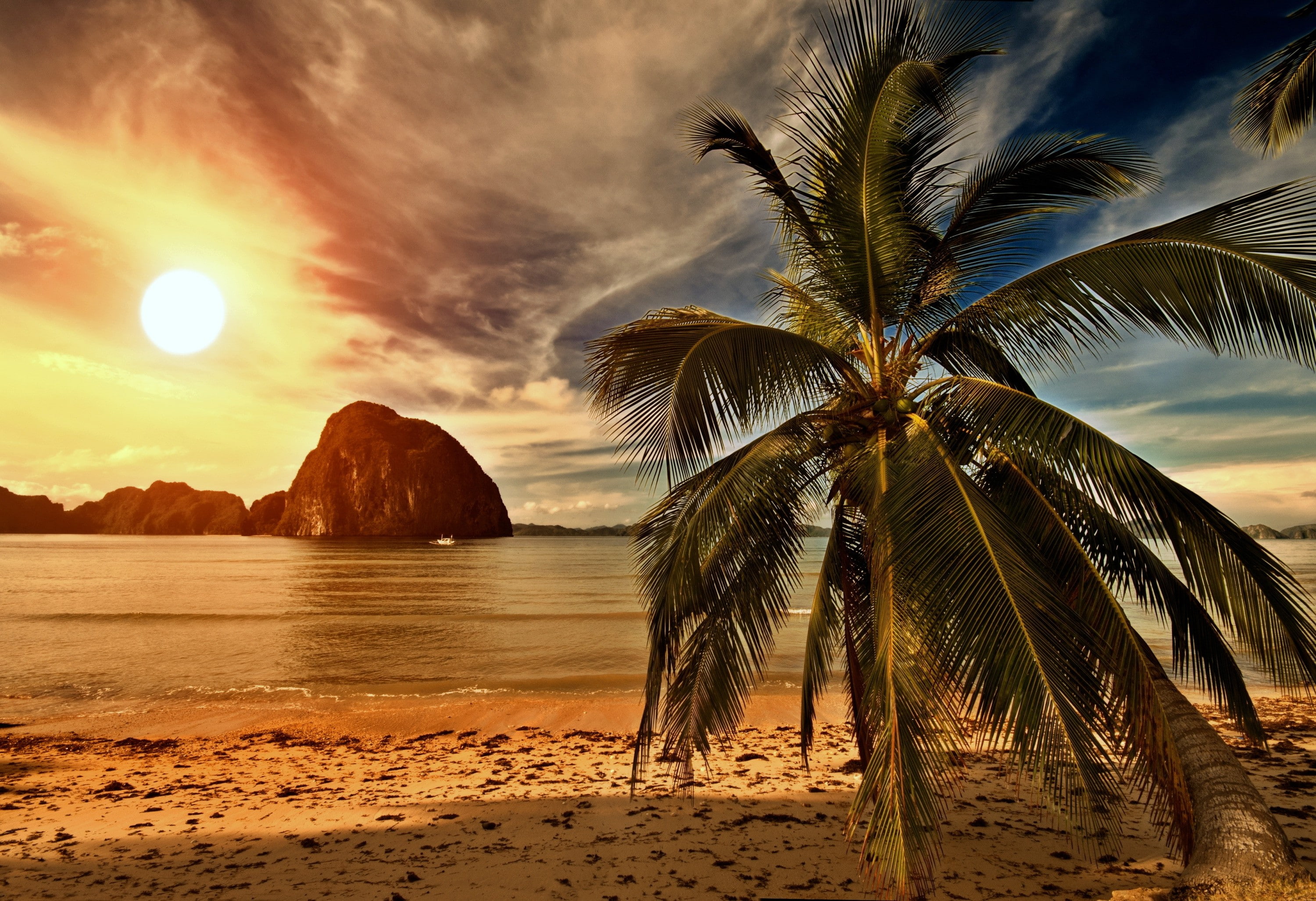 Tropical paradise palm on beach palms Sea Ocean Sunset hd backgrounds 2k