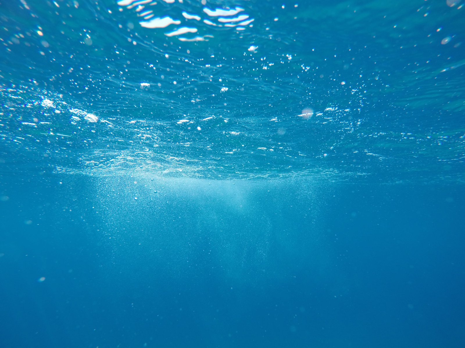 underwater photo of deep water bubble sea blue ocean 2k 4k