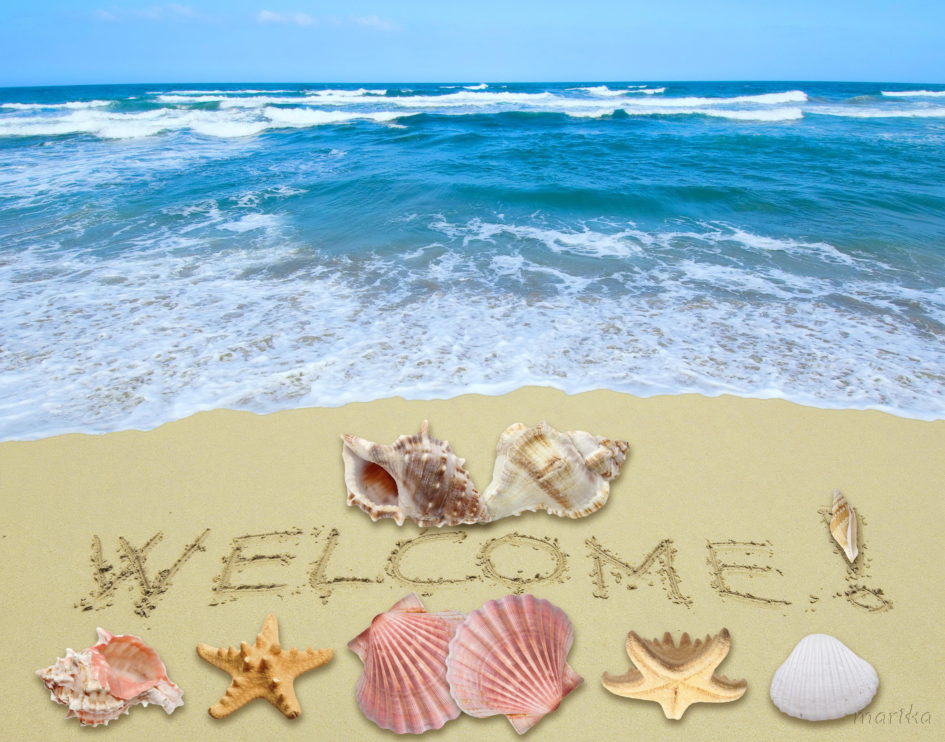 Welcome Summer shells beach starfish sunshine sand 2k