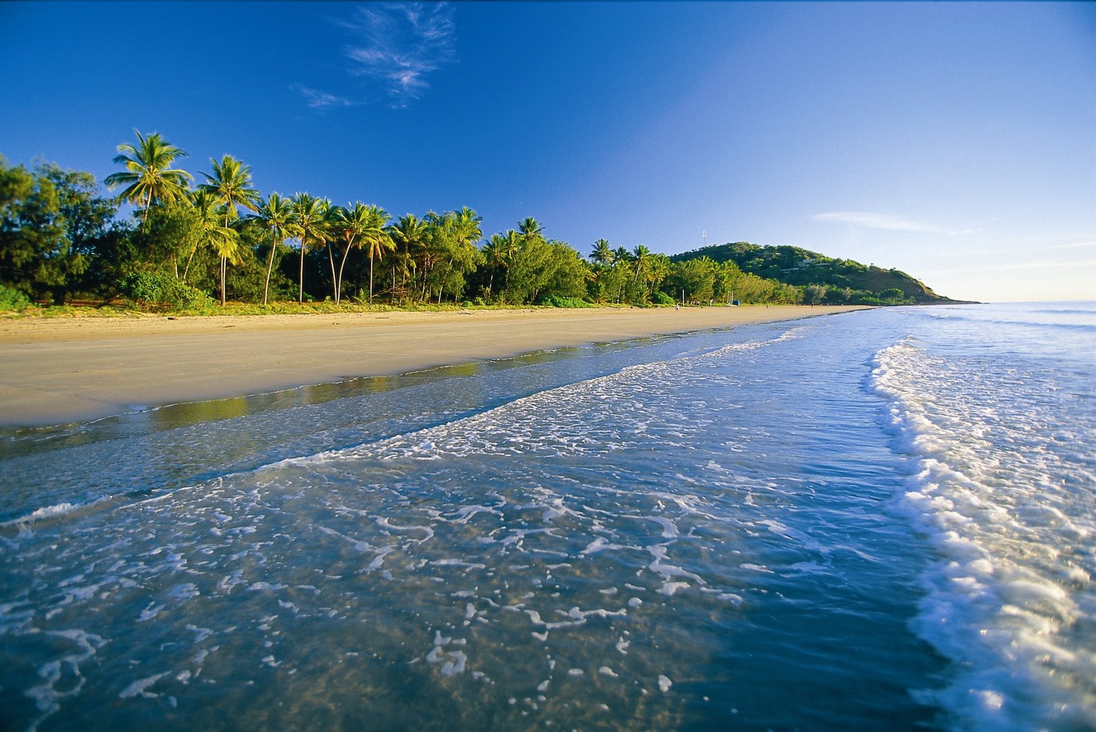 white sand beach tropics sea palm trees foam nature tropical Climate 2k 4k
