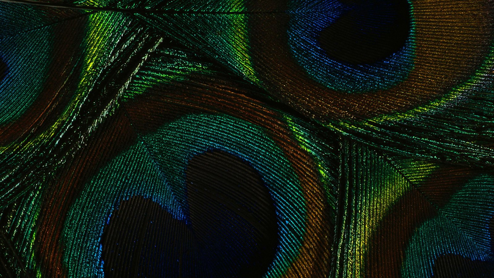 abstract green snake digital greenish blue fractal wallpaper 2k 4k