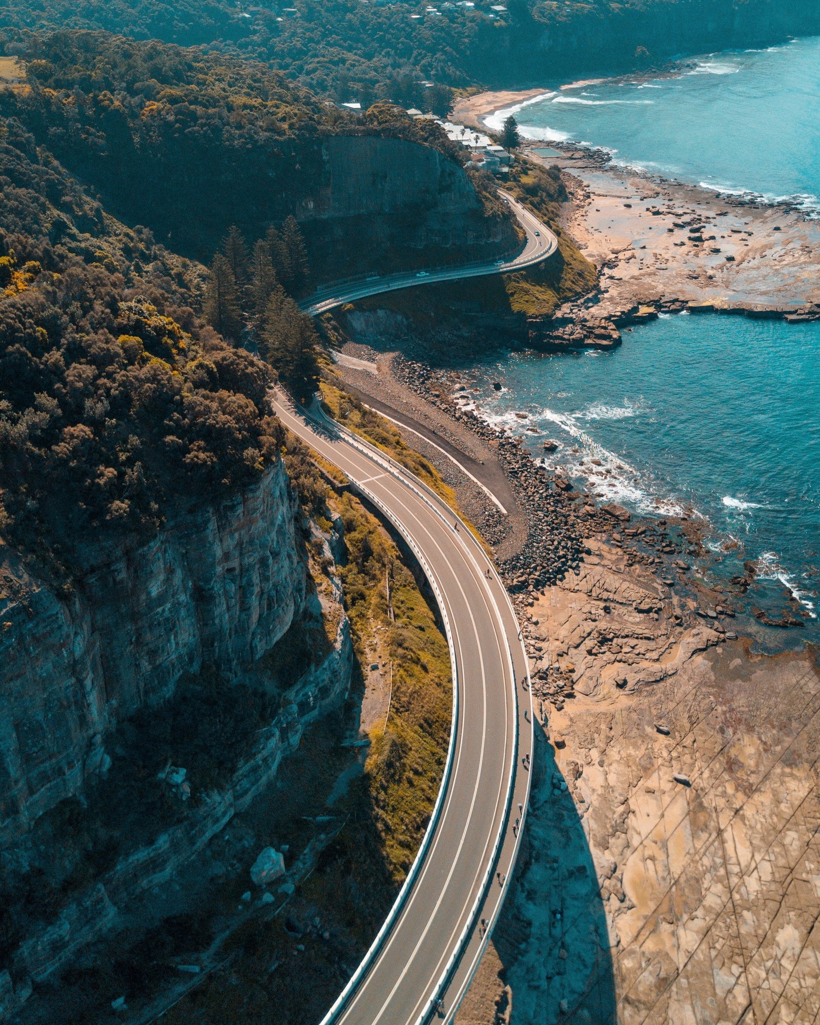 black road and green leafed trees Sea Cliff Bridge landscape 2k