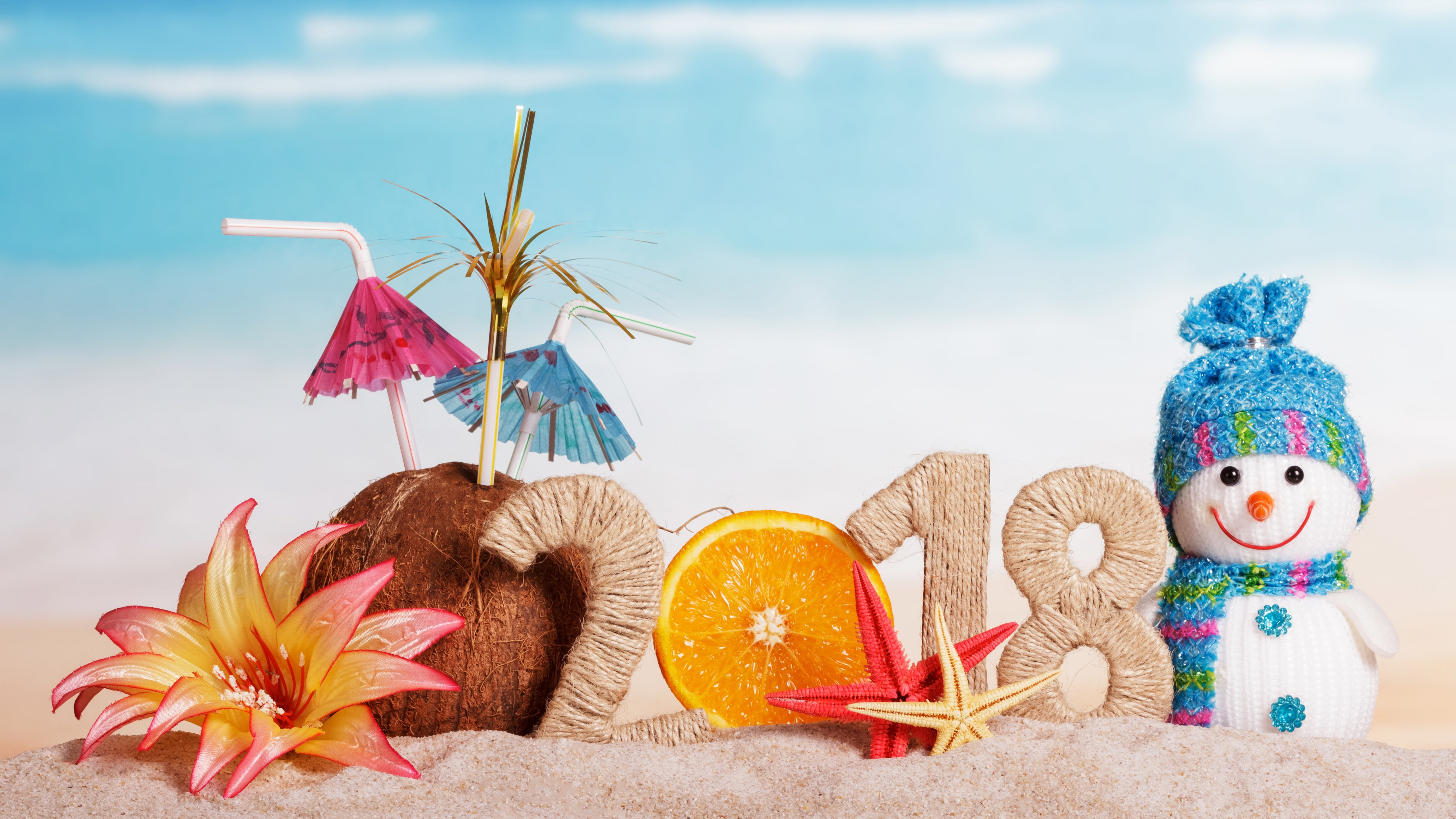 Christmas New Year snowman orange coconut 2k 4k 5k