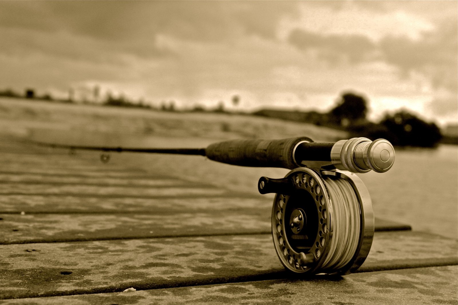 fishing fly sport HD 2k 4k 5k