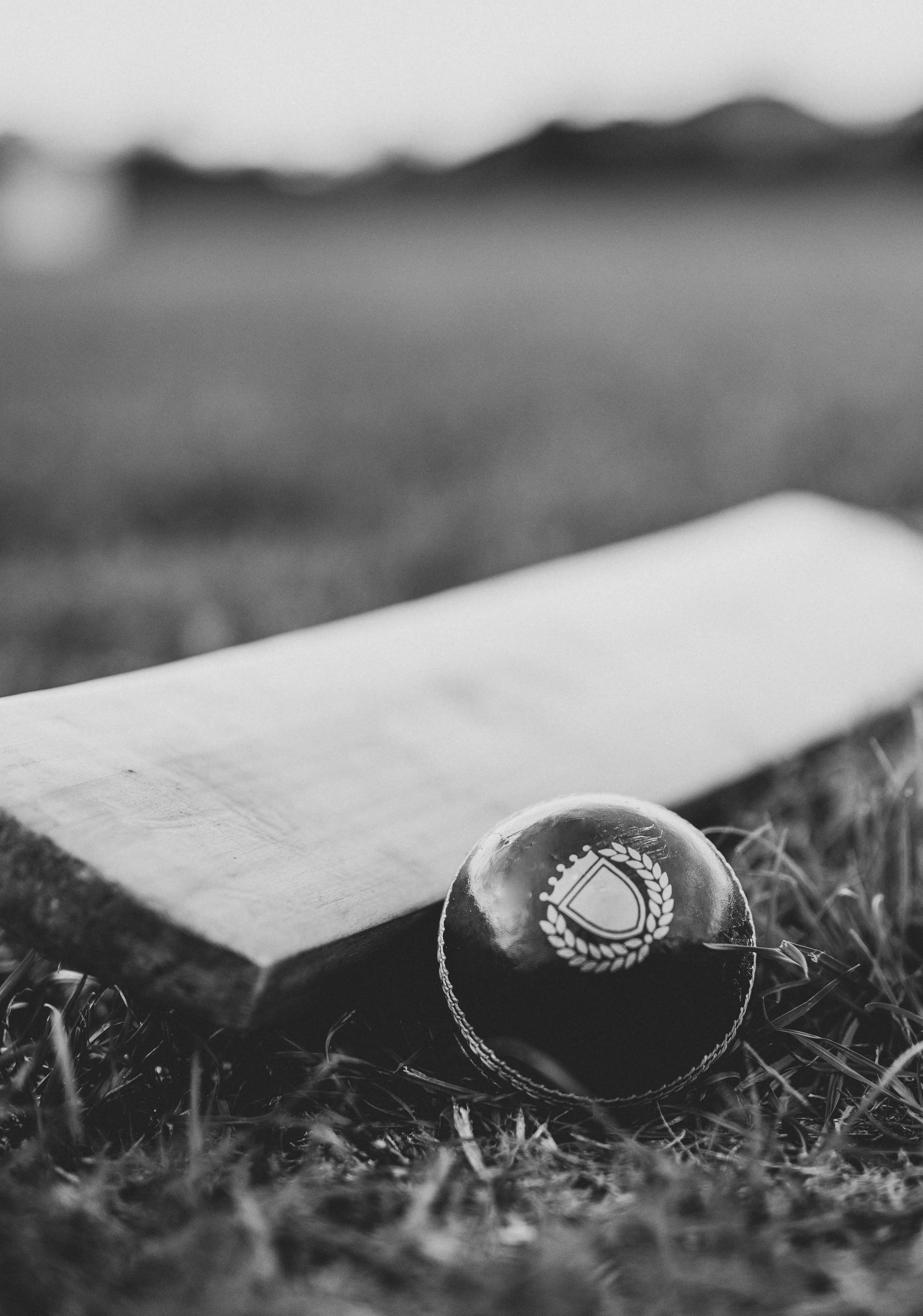 Grayscale Photo of Cricket Ball and Bat on the Ground black white 2k