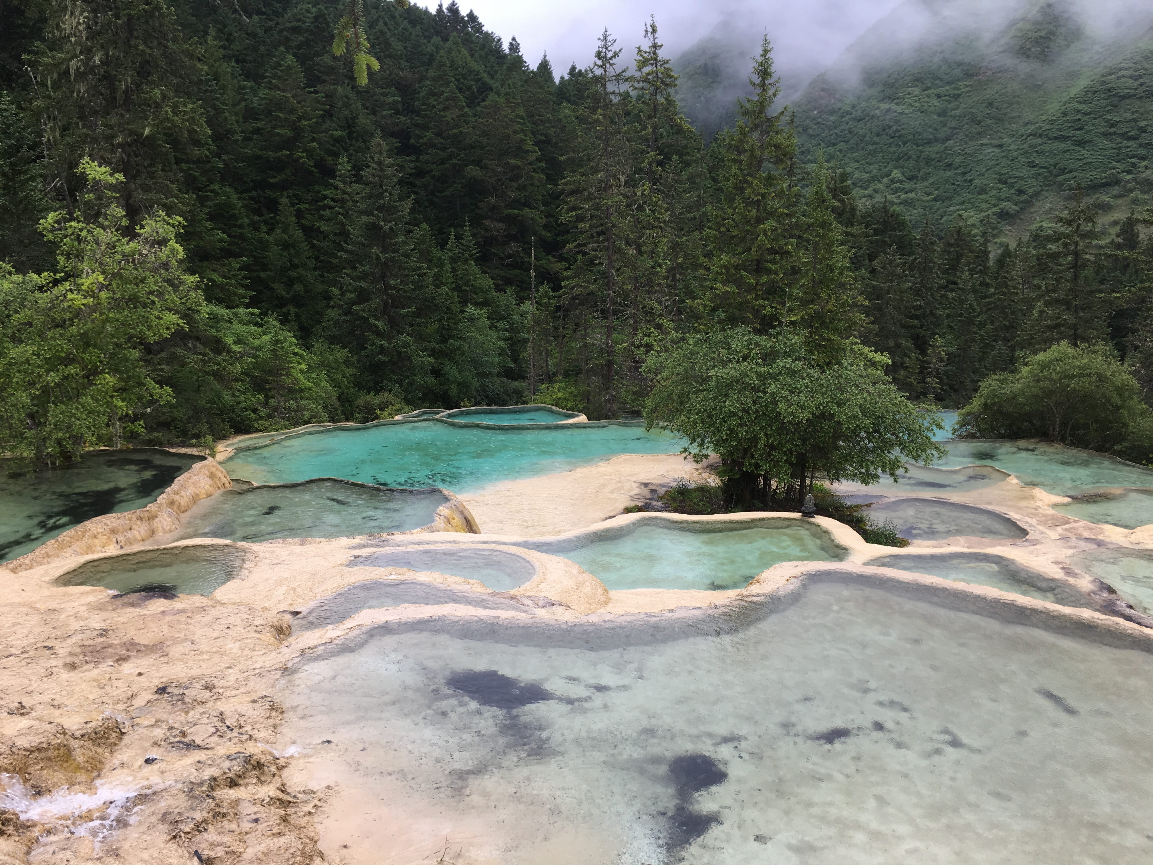 Jiuzhaigou Scenery Huanglong Scenic sichuan tree nature forest 2k 4k