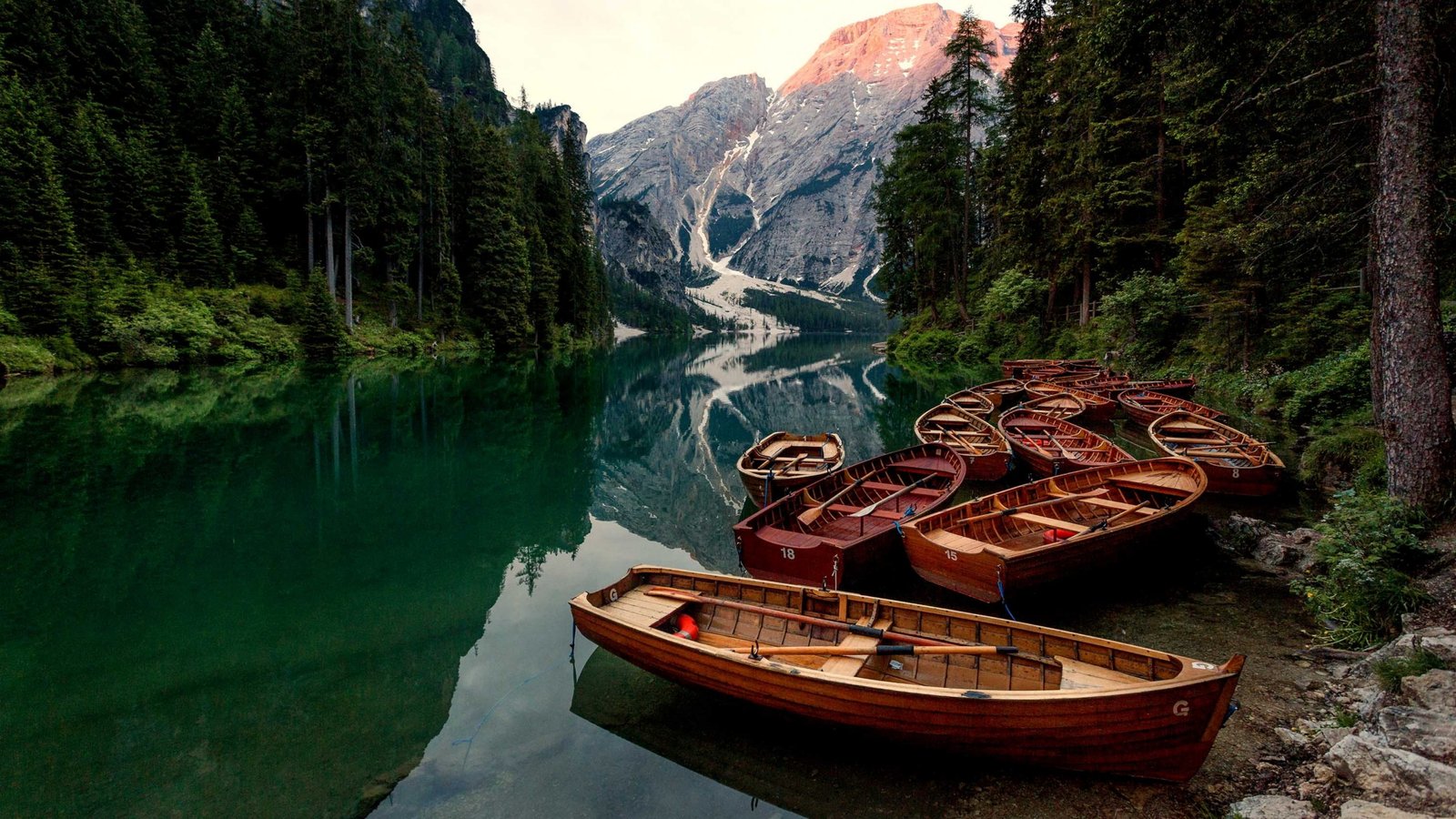 nature water reflection wilderness tree landscape lake 2k 4k