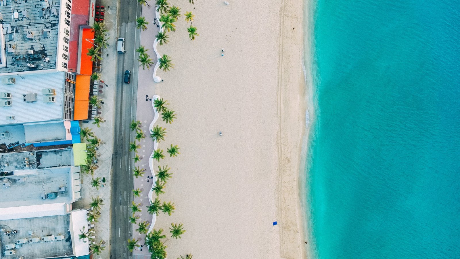 nature waves landscape beach palm trees 2k 4k