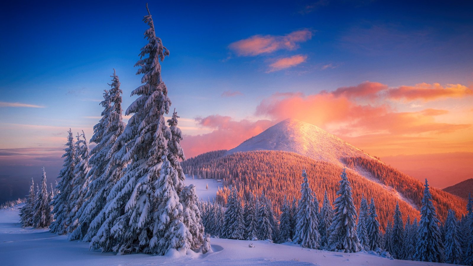 snow winter mountains sunset cold landscape forest 2k 4k