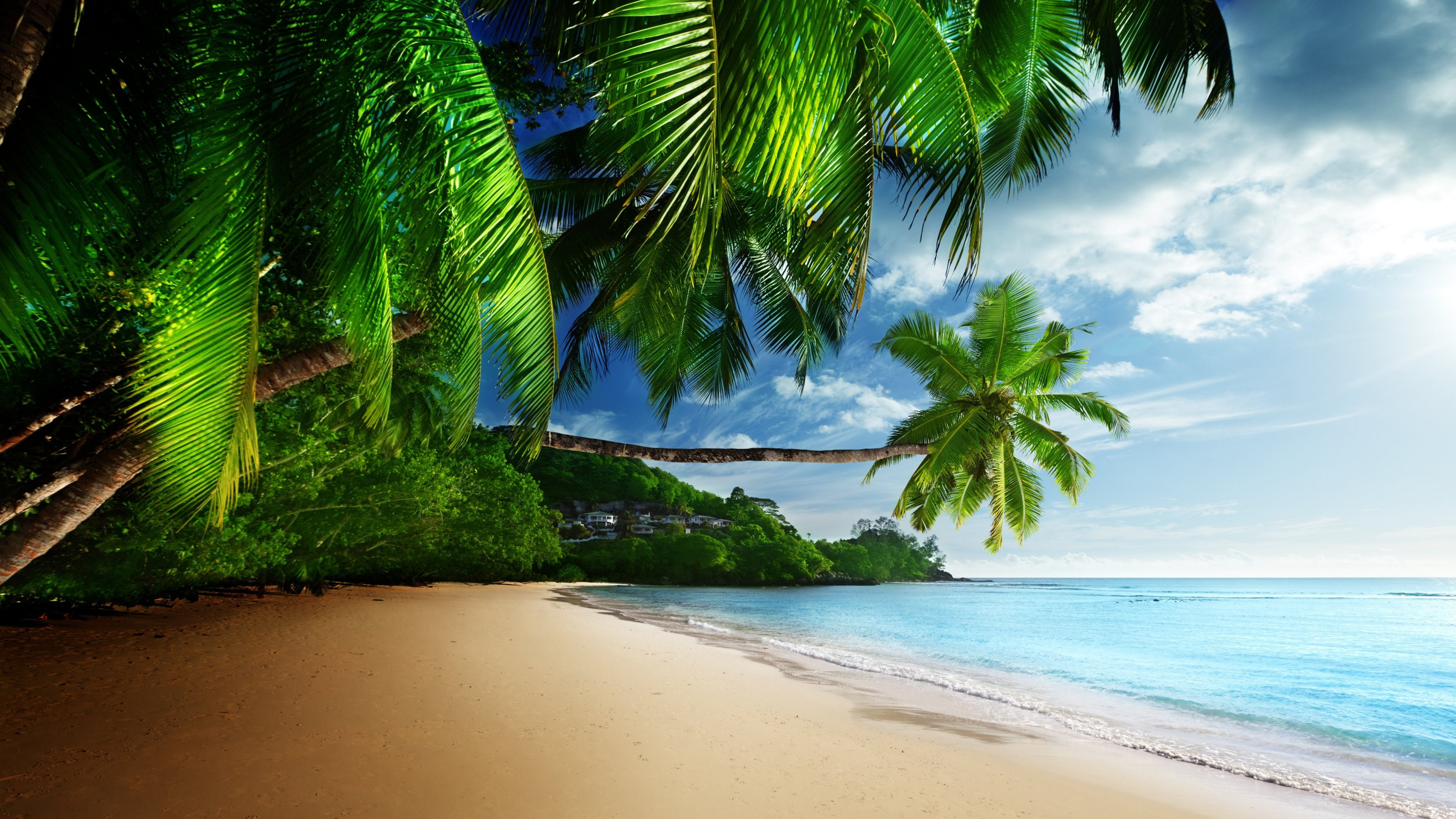 Takamaka Seychelles Tropical Coast Sea Sand Beach Palms Waves Blue Sky Full Hd Wallpapers For Desktop 2k 4k