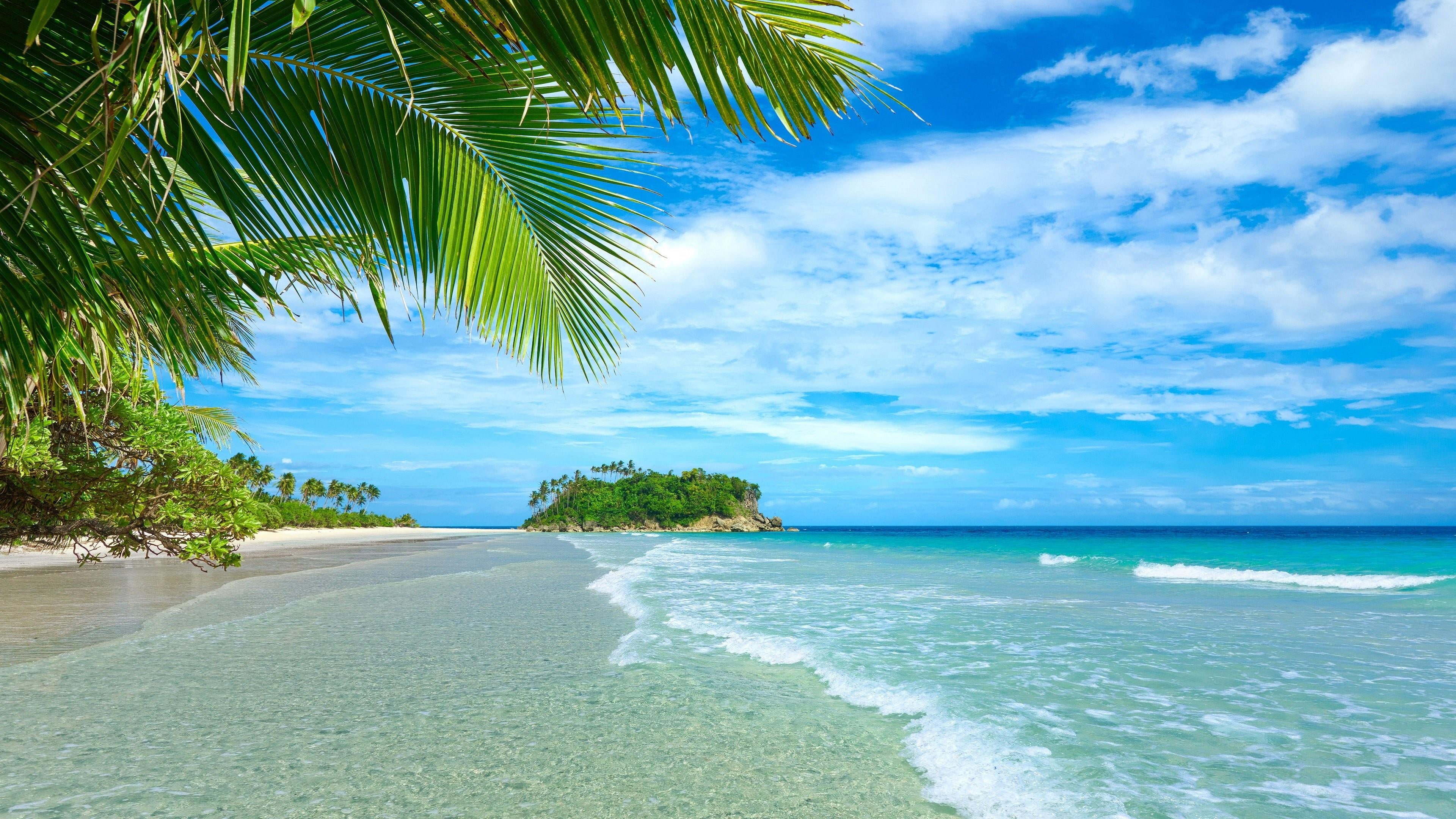 tropical beach palm blue sky exotic travel island horizon 2k 4k