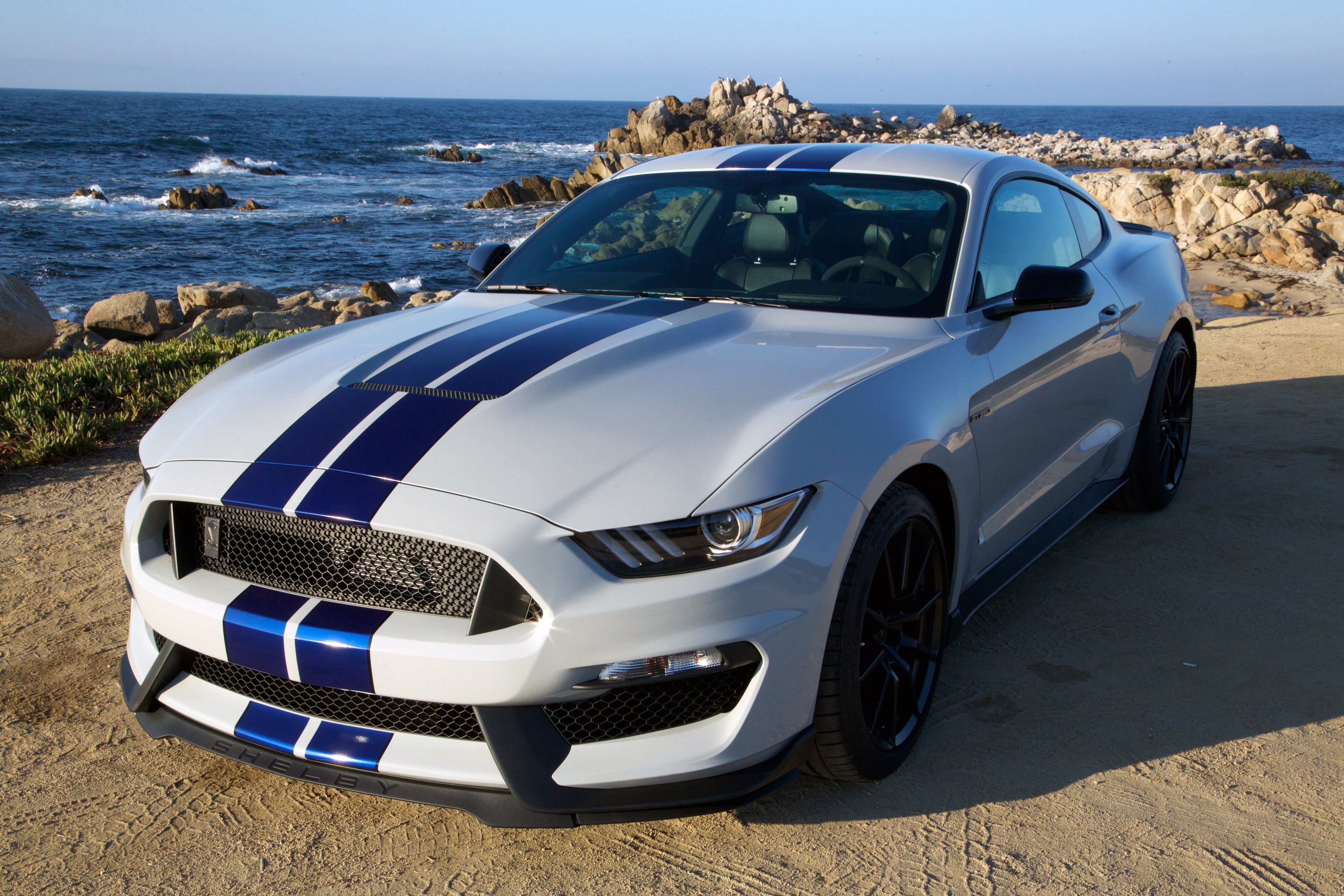 white and blue Ford Mustang coupe parked near seashore Shelby 2k 4k