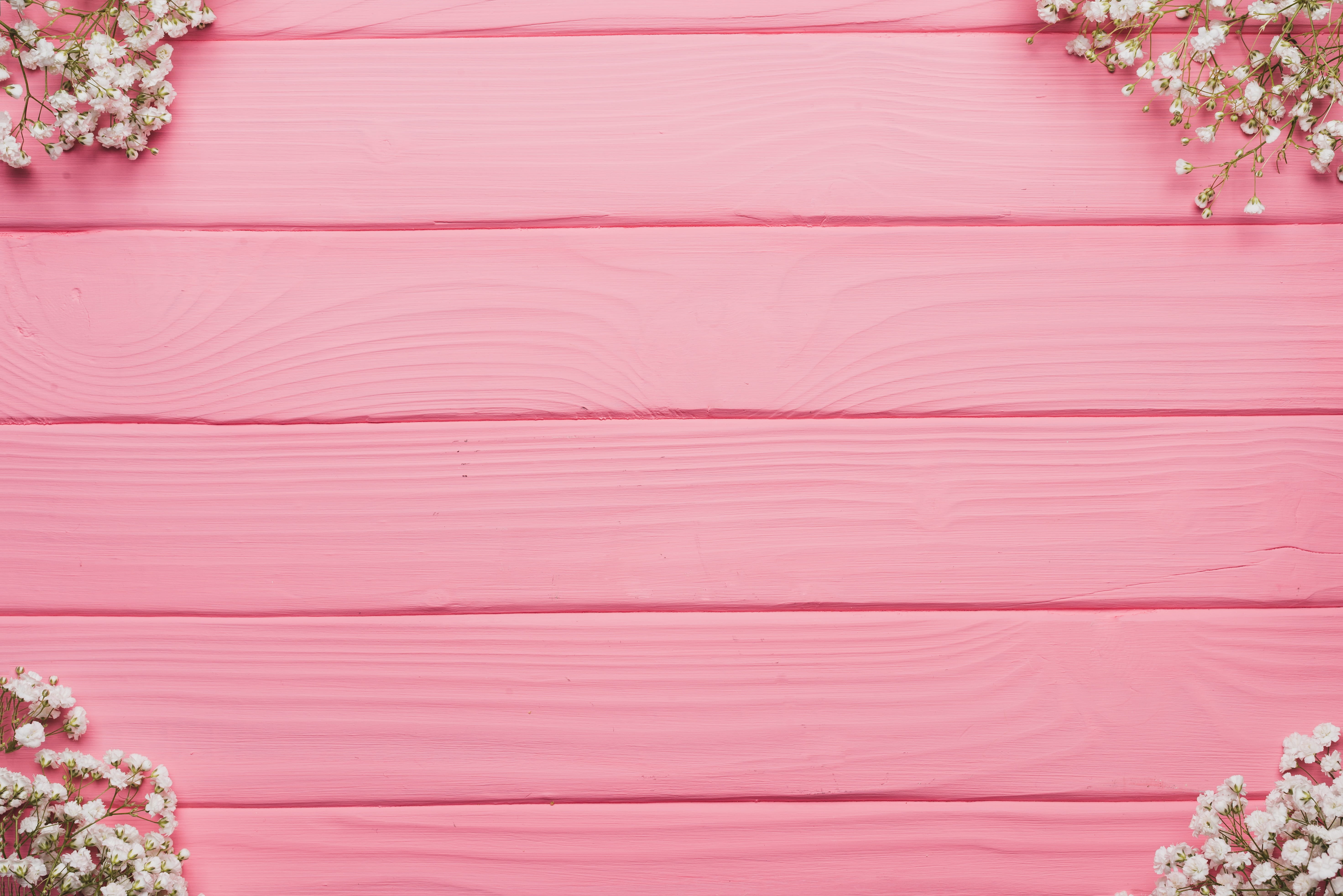 white flowers on pink wooden pallet background nature color 2k 4k 5k