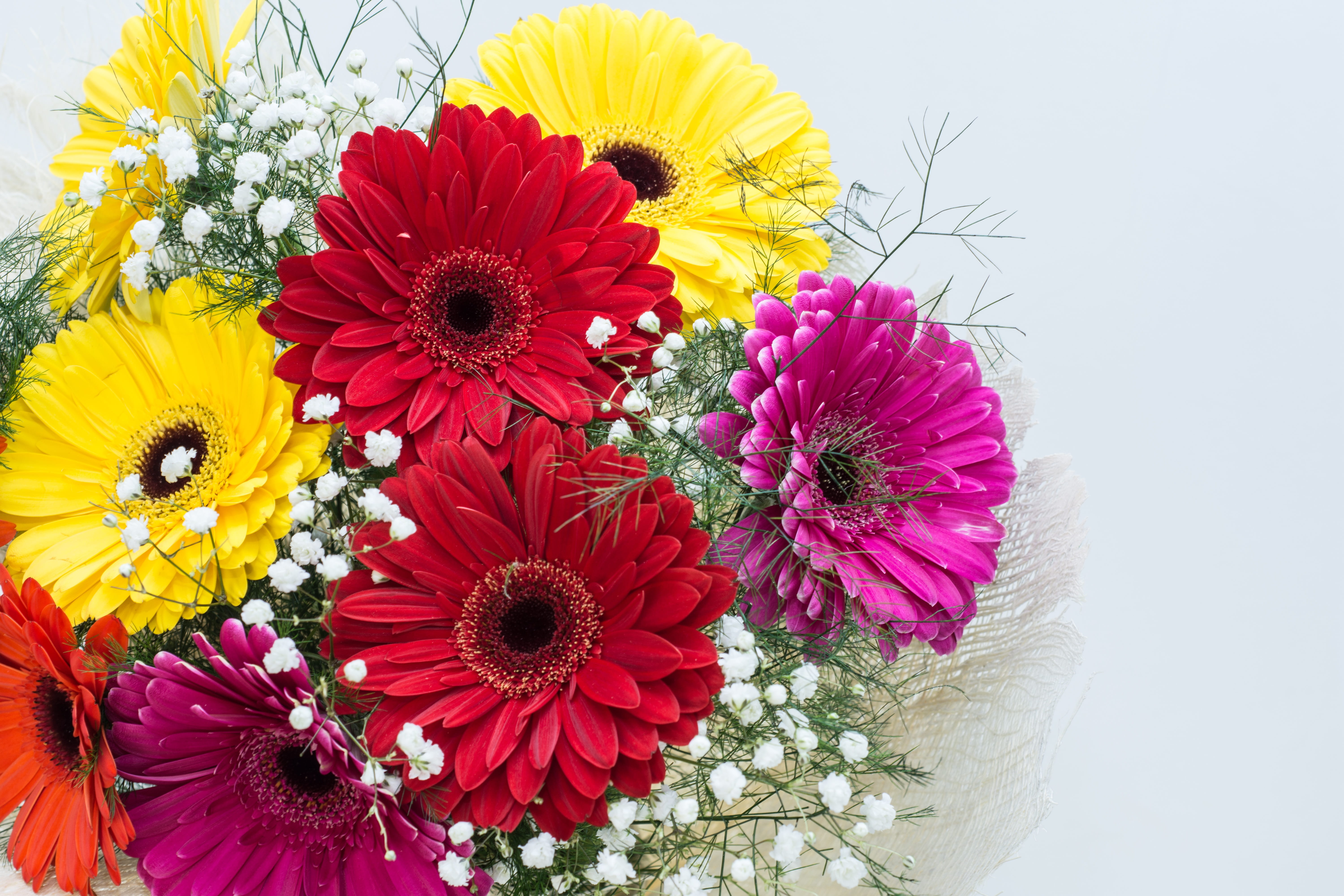artificial flowers red purple yellow flower arrangement gerbera 2k 4k 5k