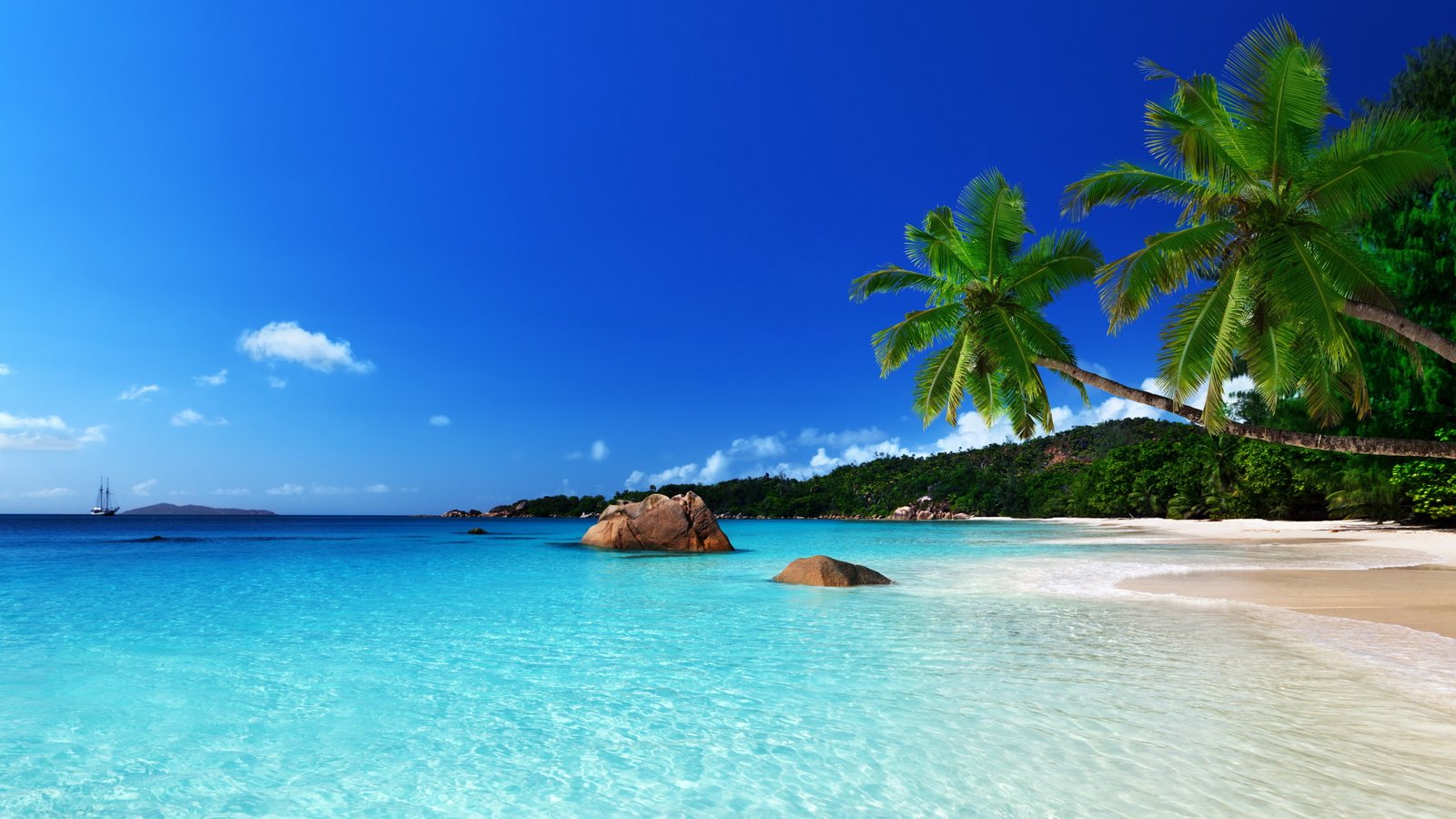 beach coast ocean palm paradise sea summer tropical 2k 4k 5k