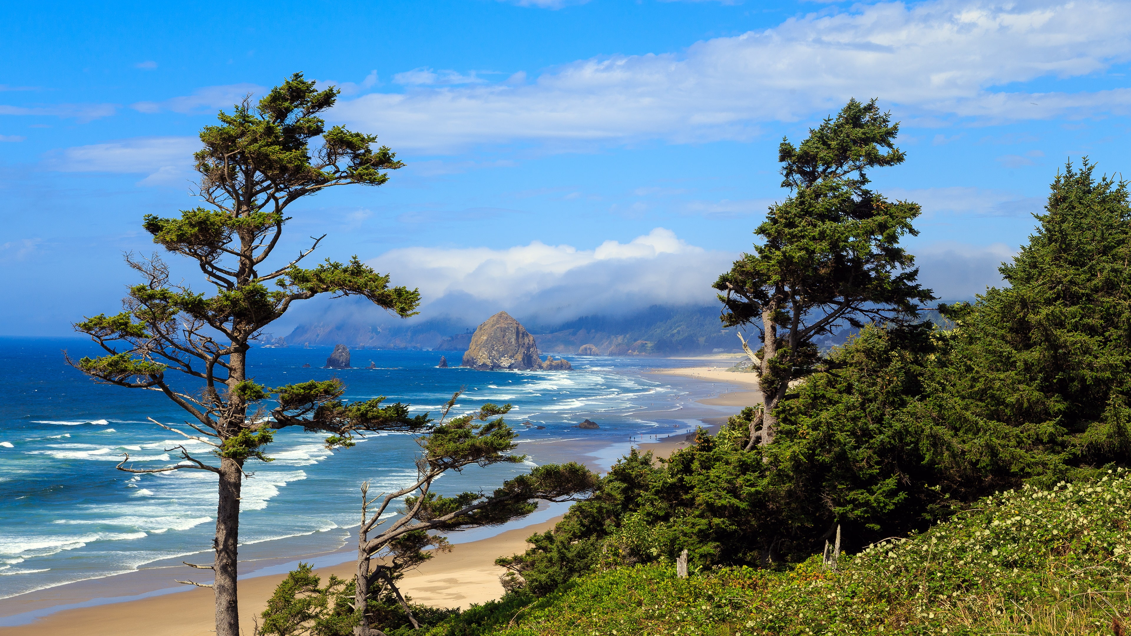 beach coastline shortline rugged united states tourism 2k 4k