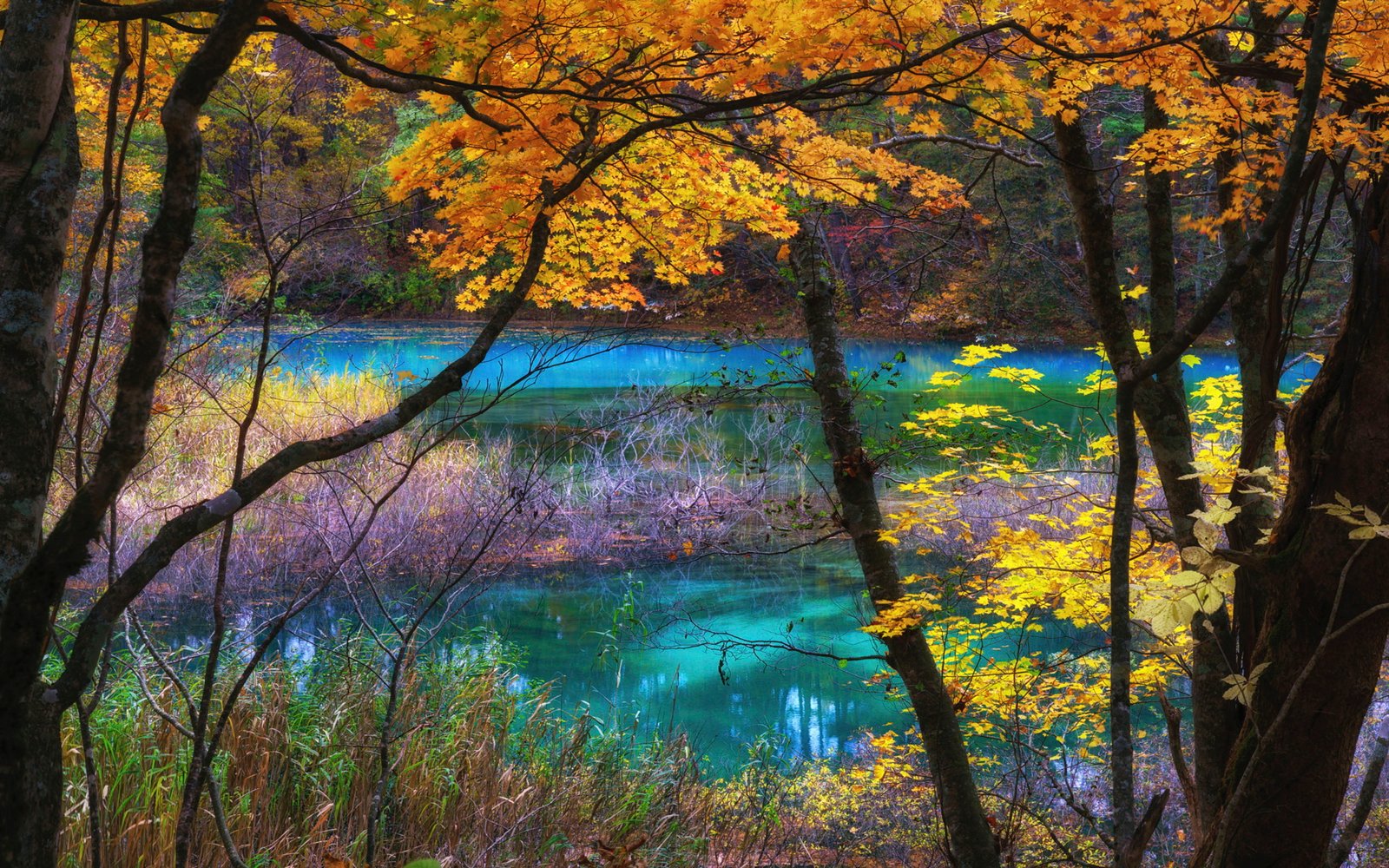 Blue Lake Goshikinuma Fukushima Japan Autumn Scenery Landscape Nature Ultra Hd Wallpapers For Desktop Mobile Phones And Laptop 2k 4k