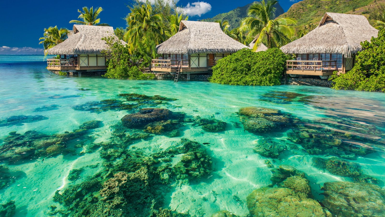 body of water and green leafed tree three brown huts with clear 2k 4k