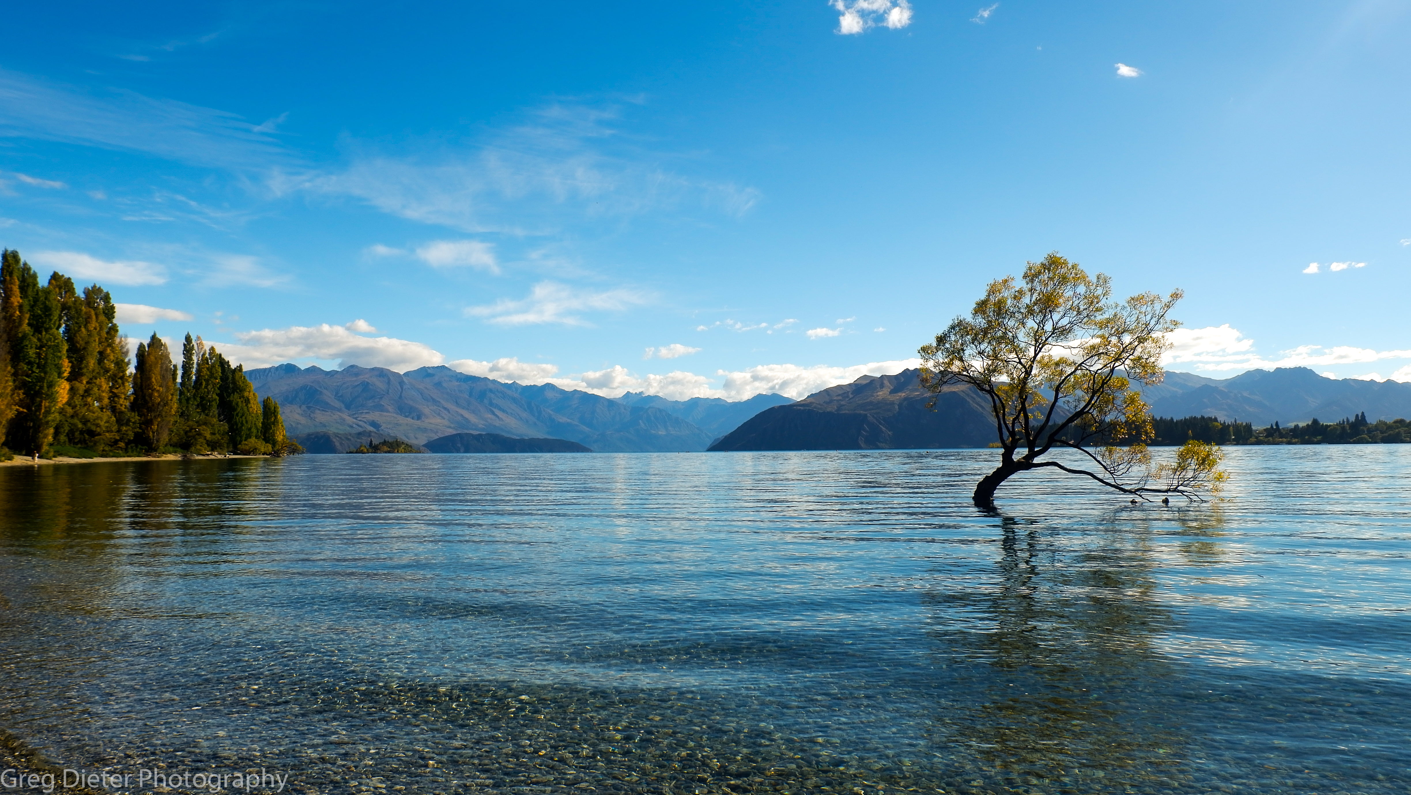 brown and white sea waves nature landscape water trees Lake Wanaka 2k 4k 5k