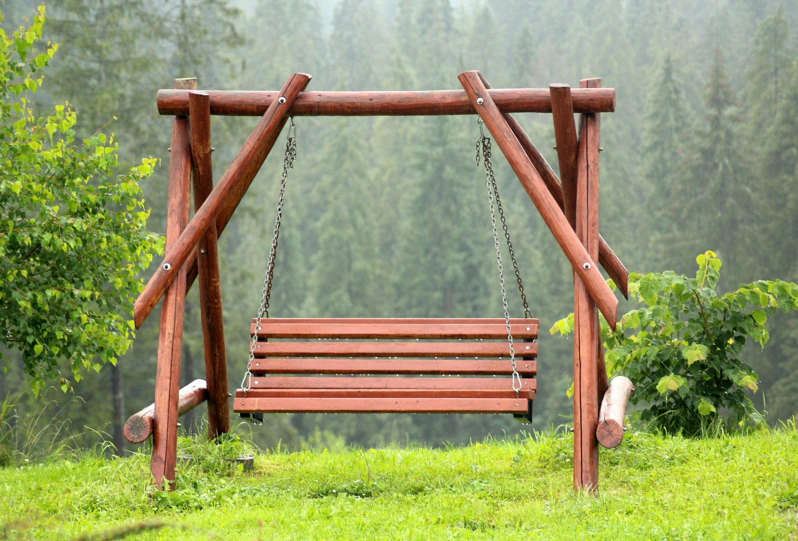 brown wooden swing near green leaf tree scenery fun holiday 2k 4k 5k