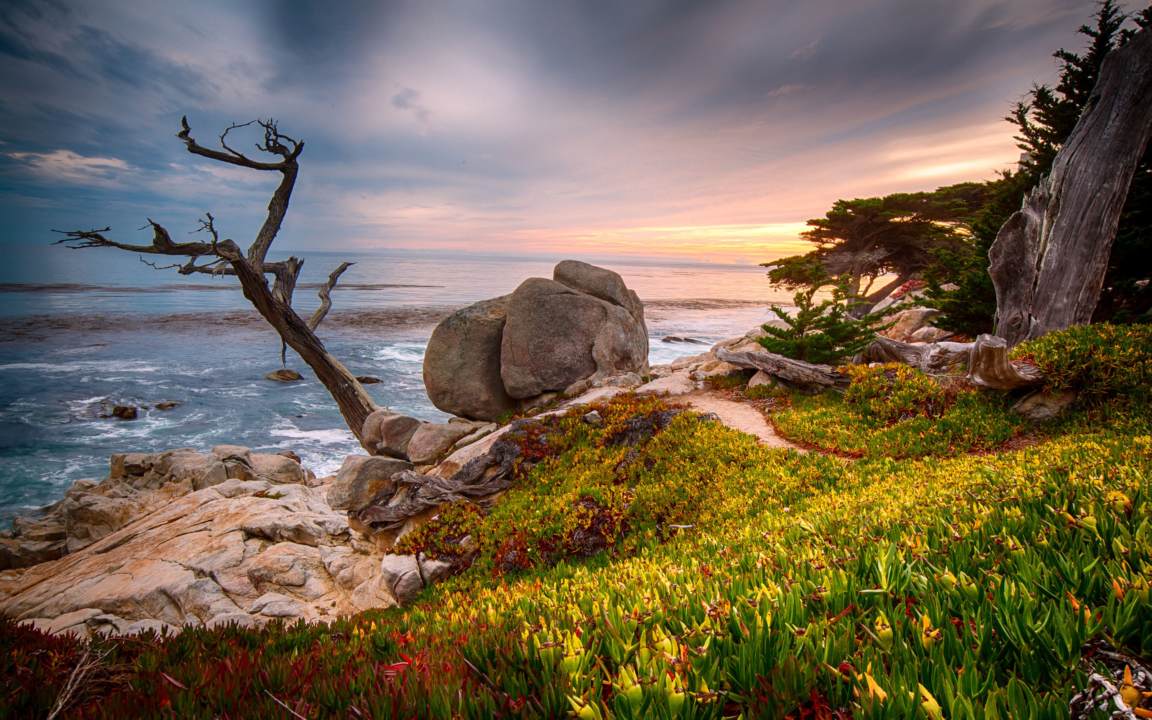 California Usa Coast Near The City Monterey Ultra Hd Tv Wallpaper For Desktop Laptop Tablet And Mobile Phones 2k 4k