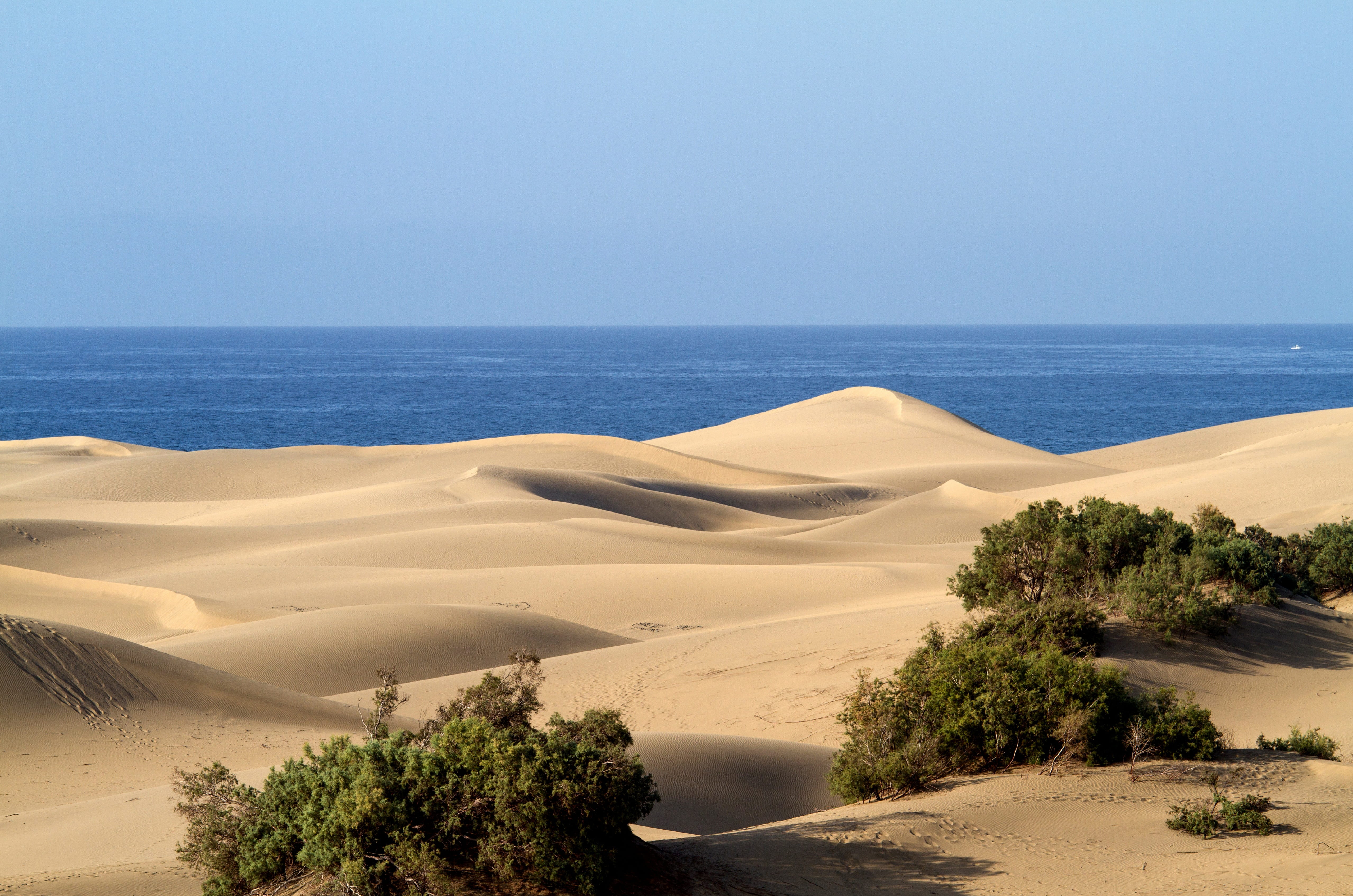 Gran Canaria Maspalomas Sand Dunes scenics sea nature 2k 4k 5k