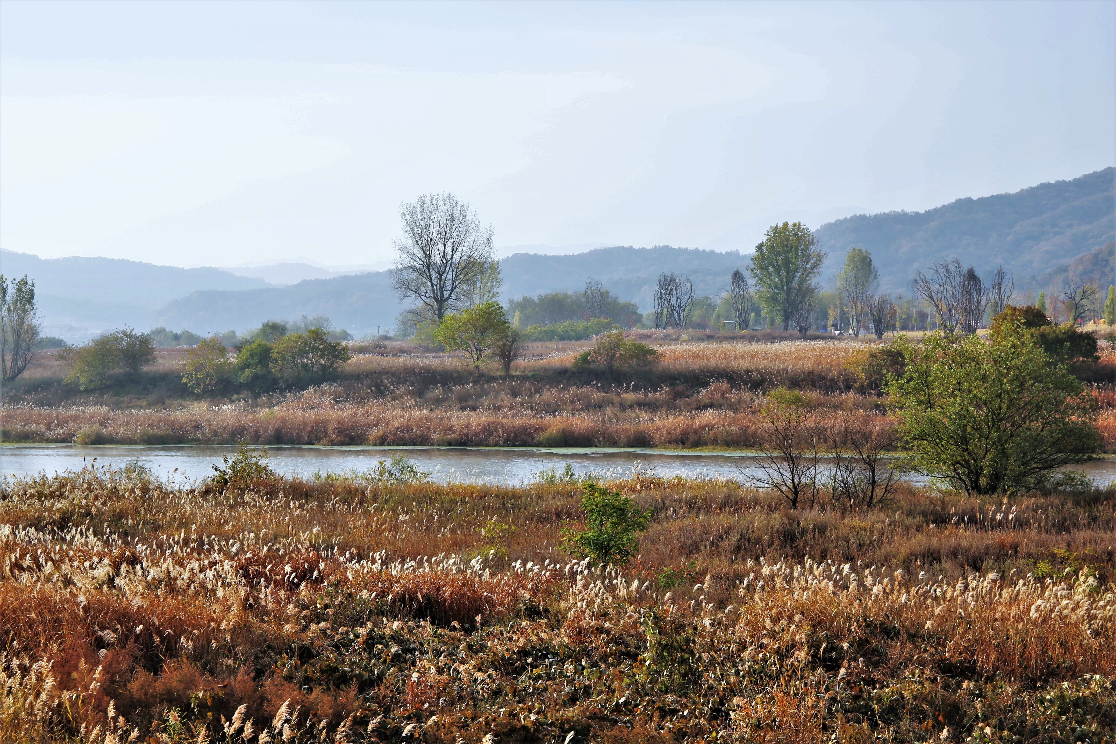 grass field near mountain autumn landscape steel spring island 2k 4k